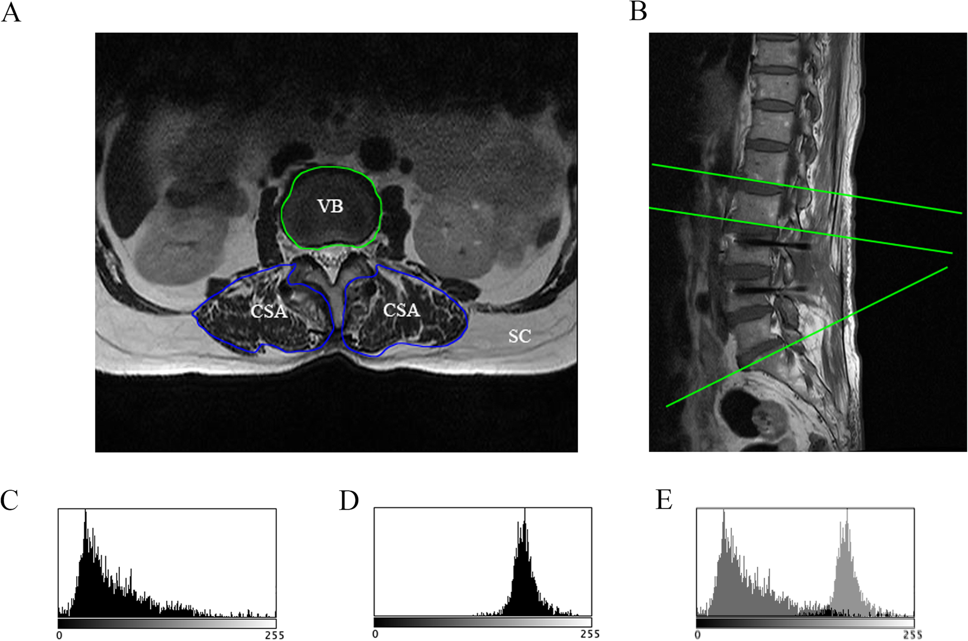 Fig. 4