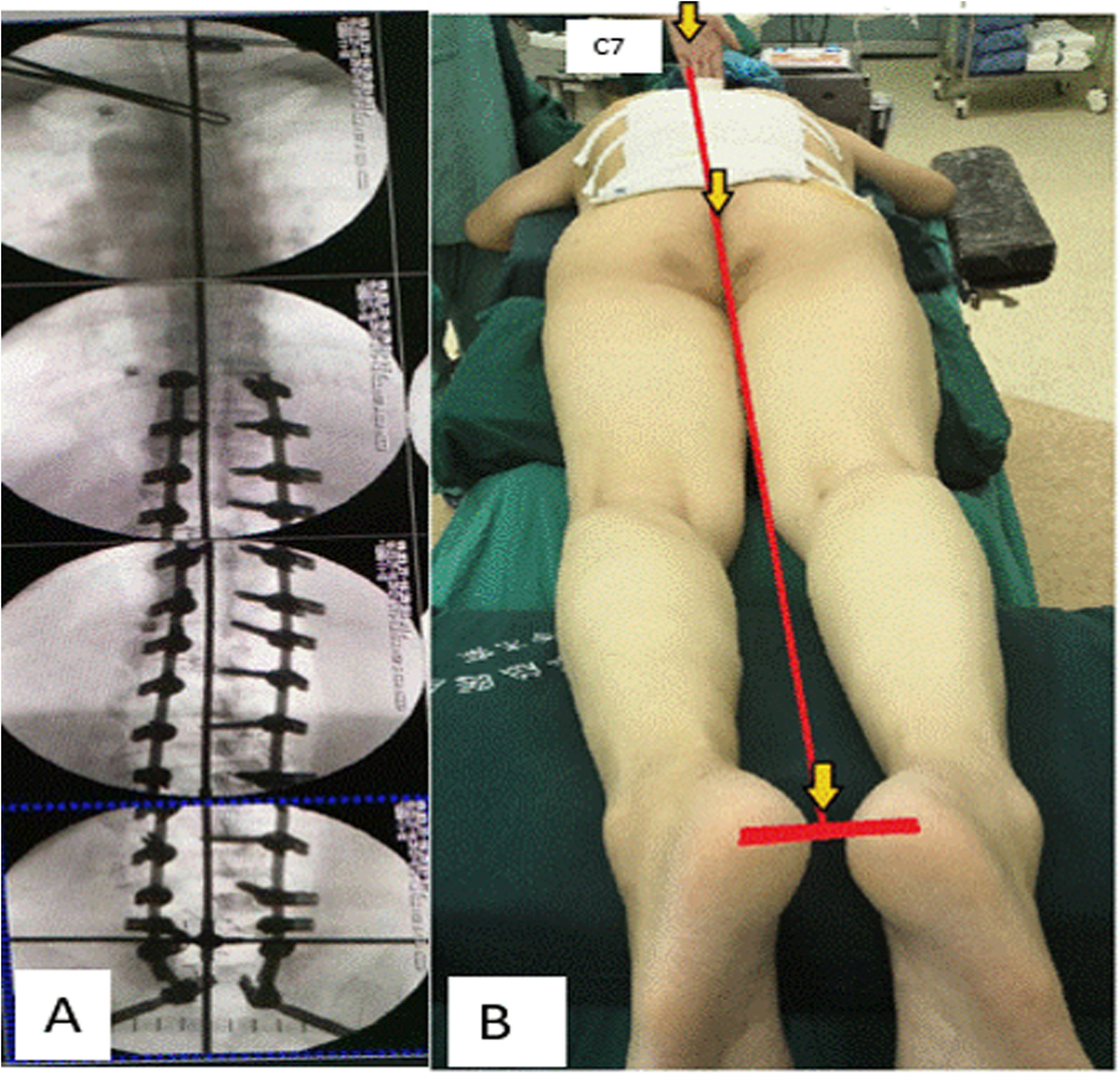 Fig. 3