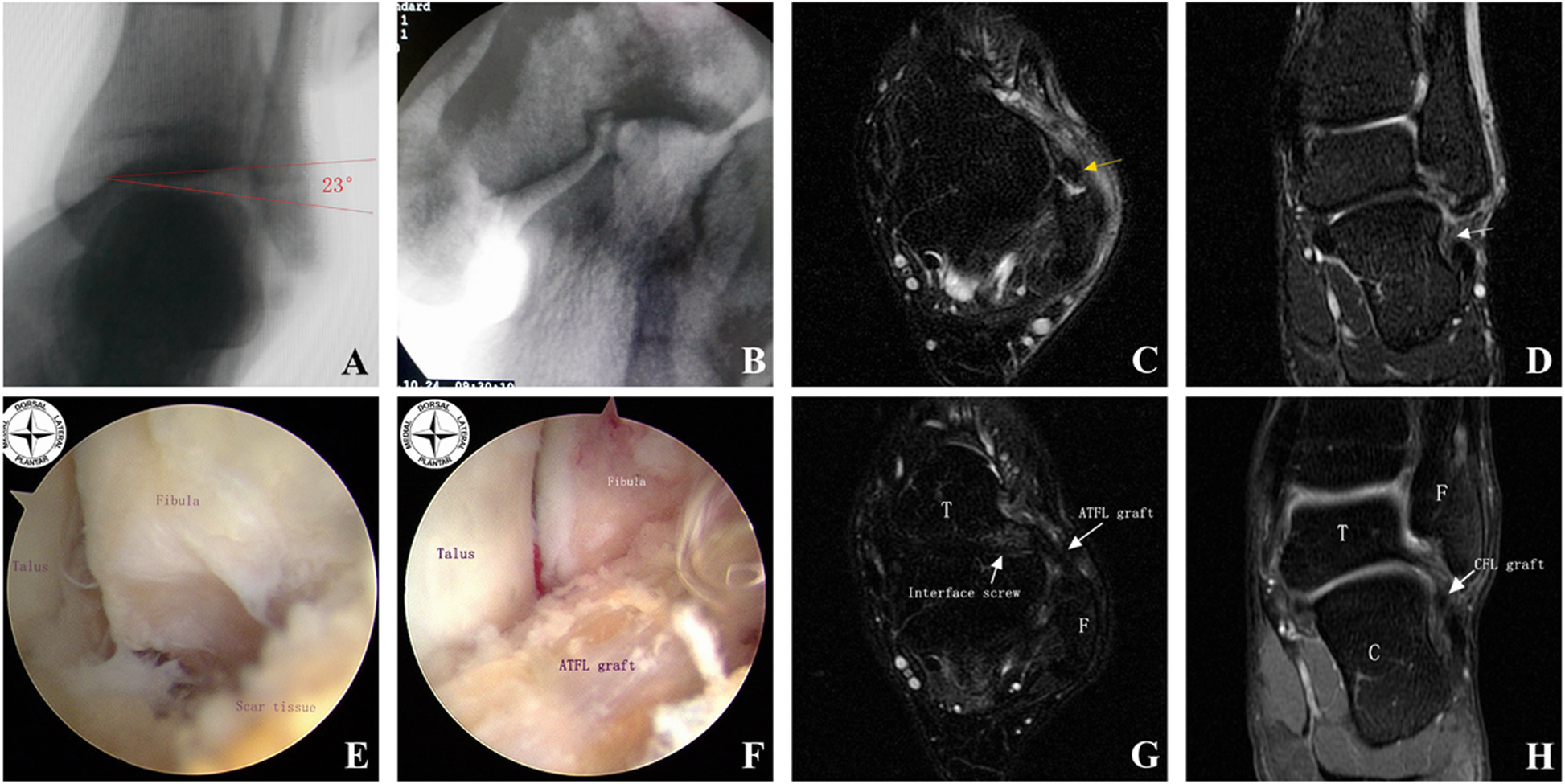 Fig. 7