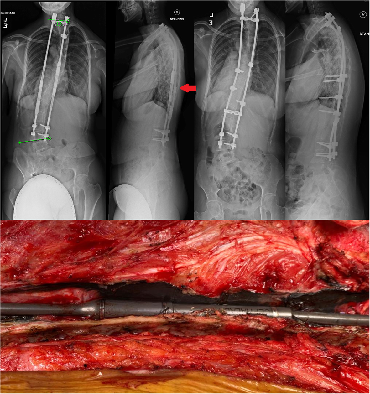 Fig. 4