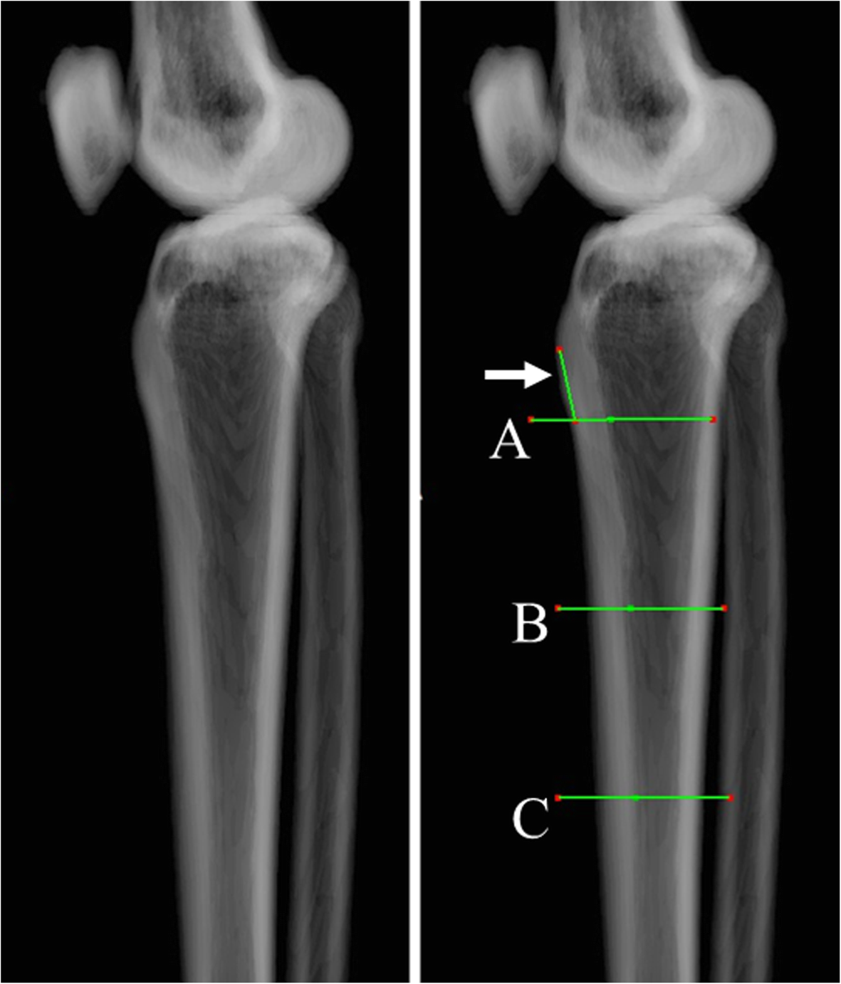 Fig. 2