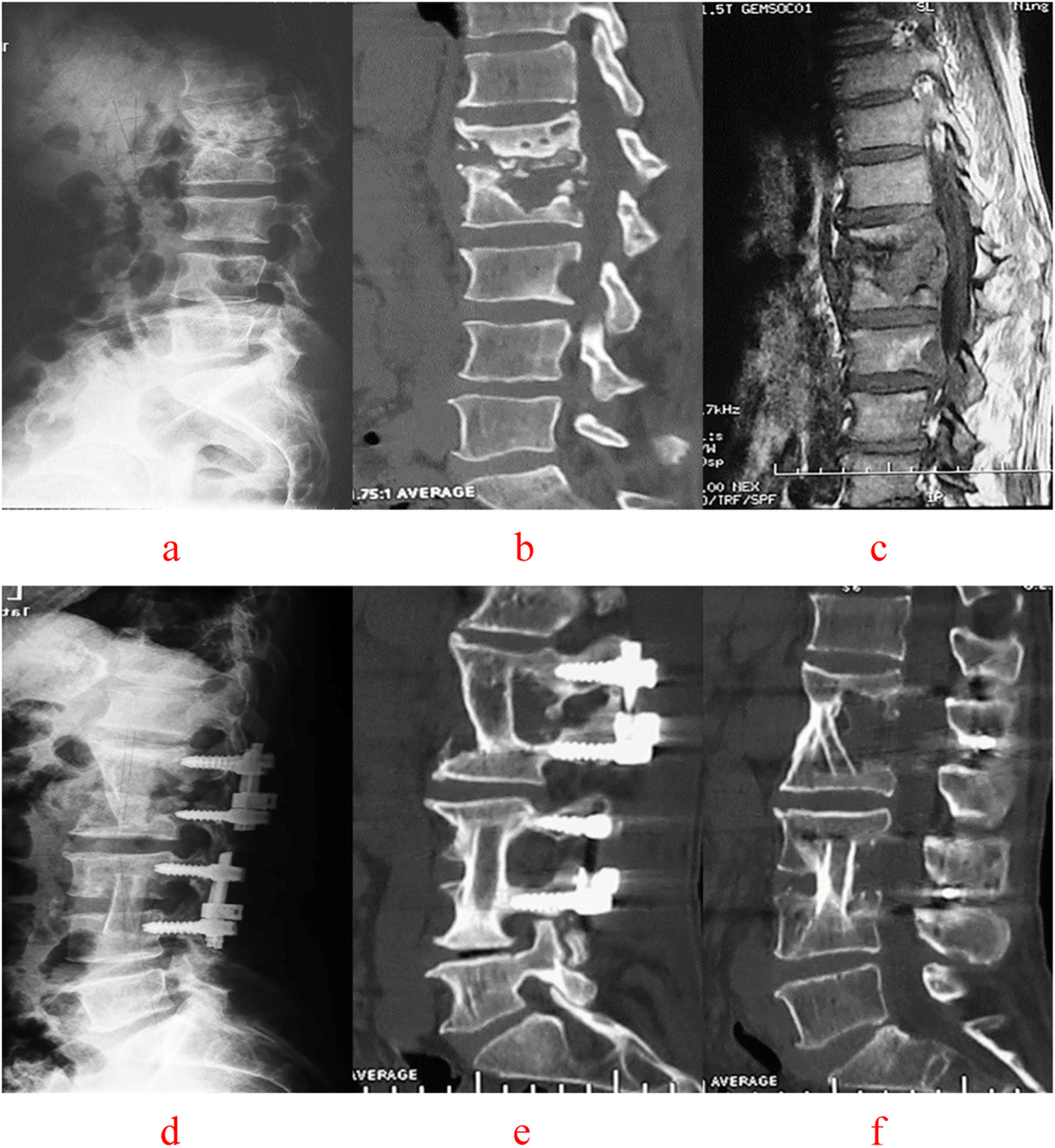 Fig. 5