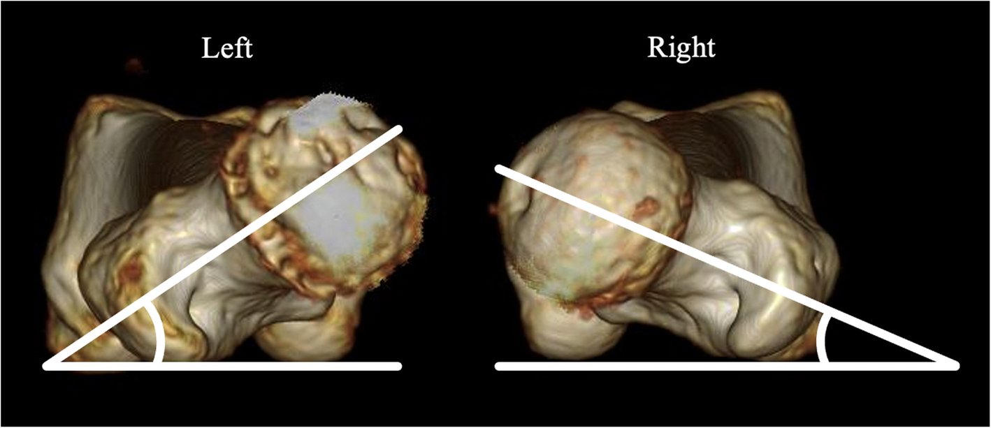 Fig. 5