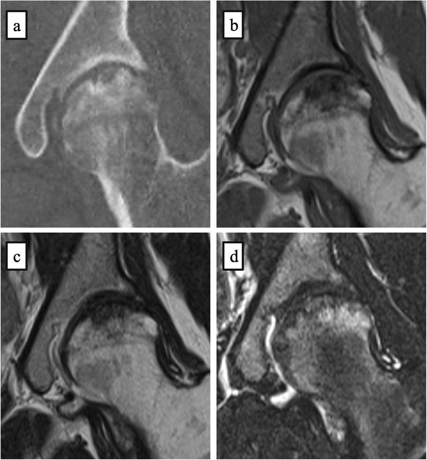 Fig. 6