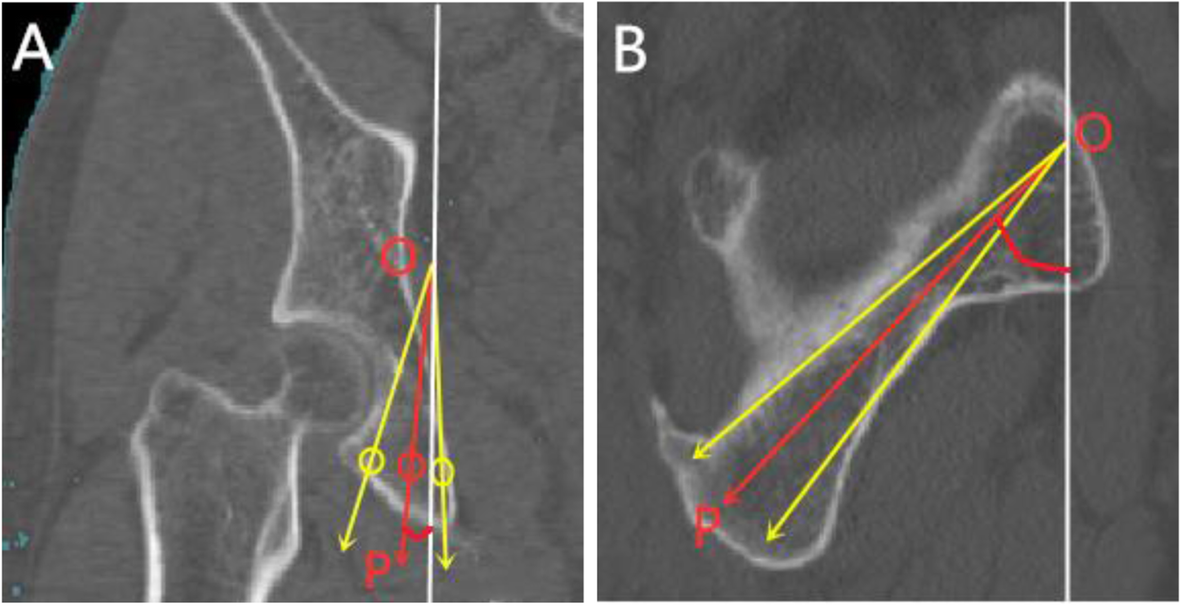 Fig. 5