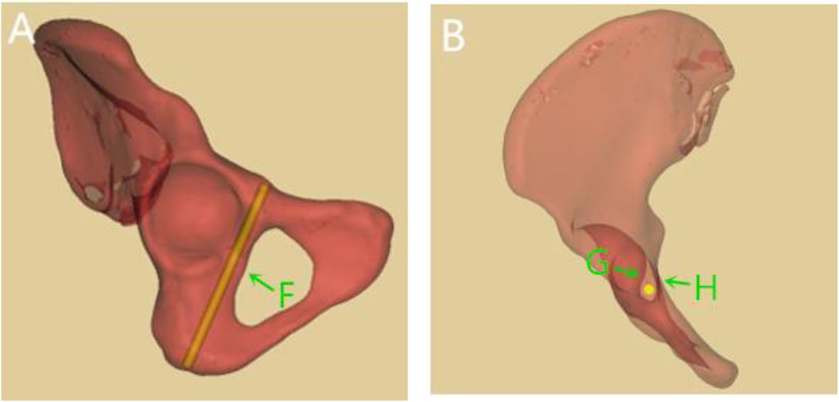 Fig. 8