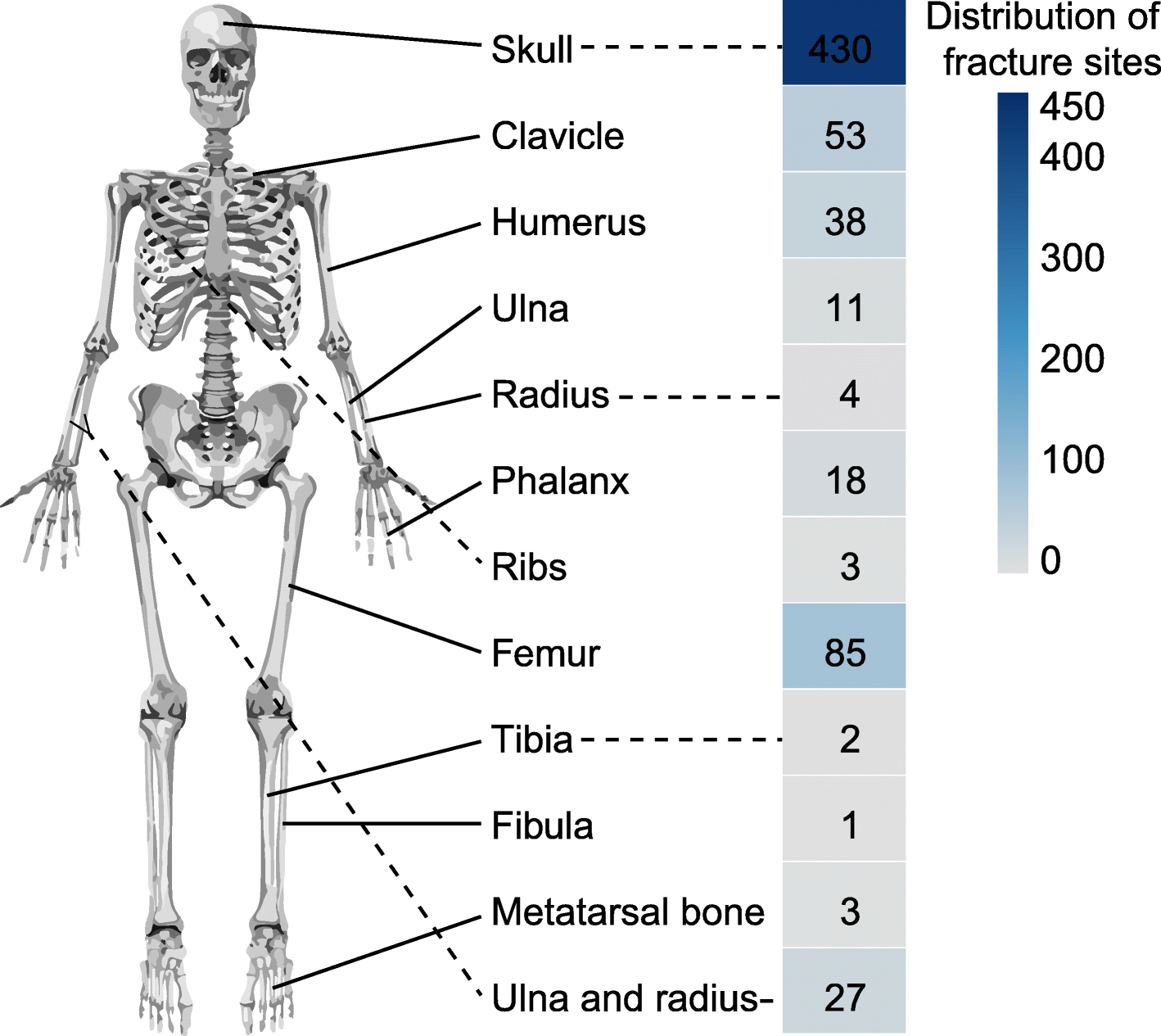 Fig. 5