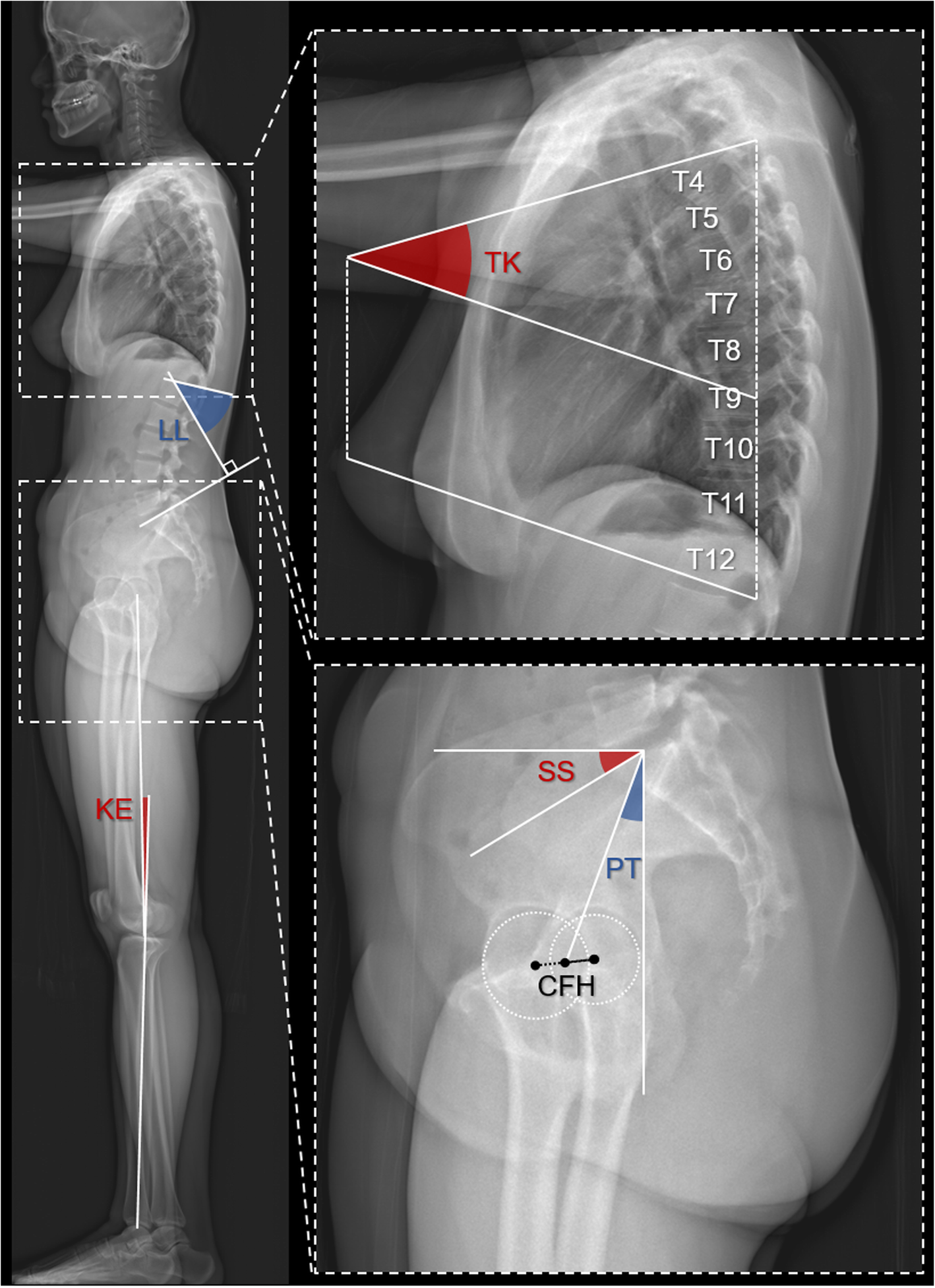 Fig. 1