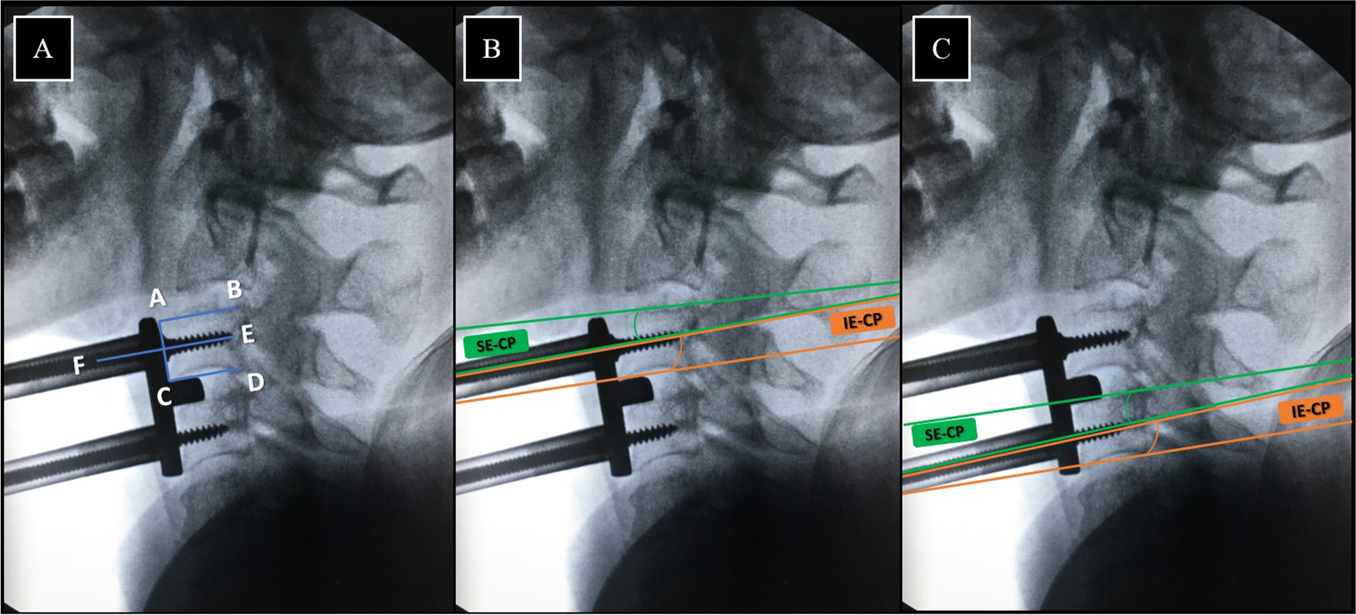 Fig. 4