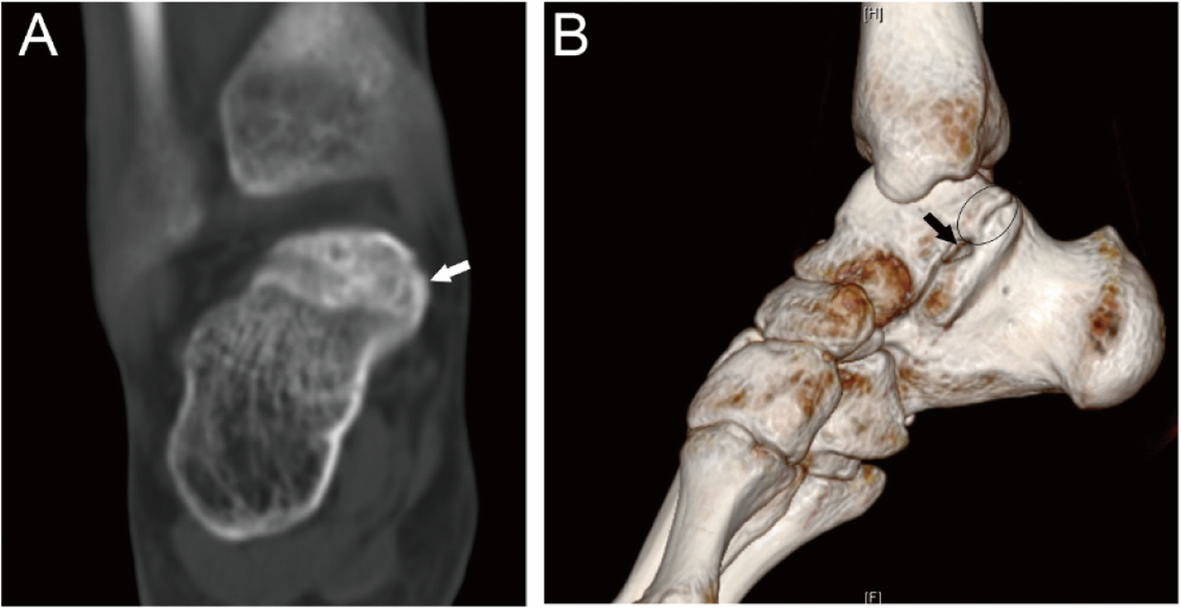 Fig. 7