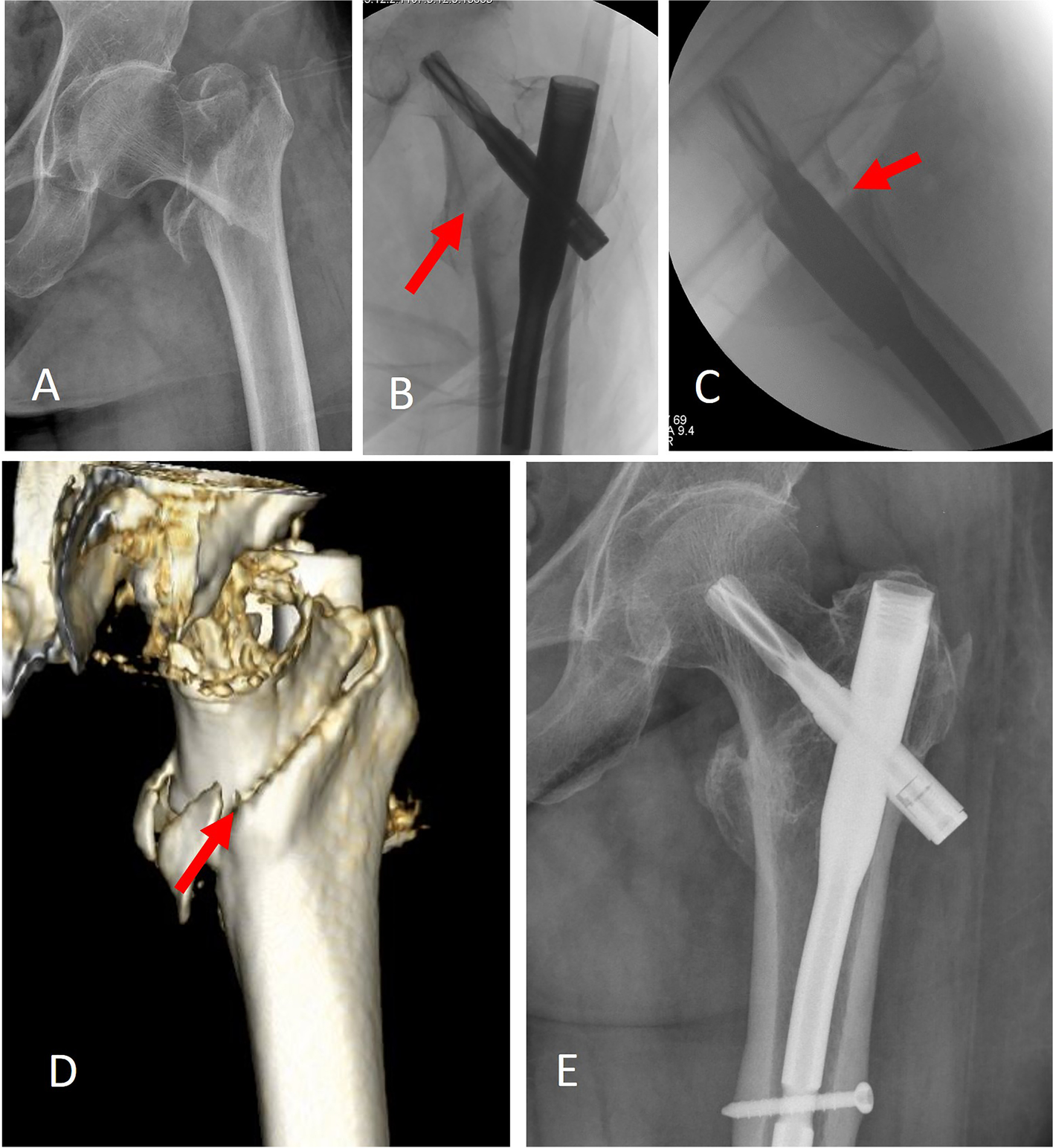 Fig. 4