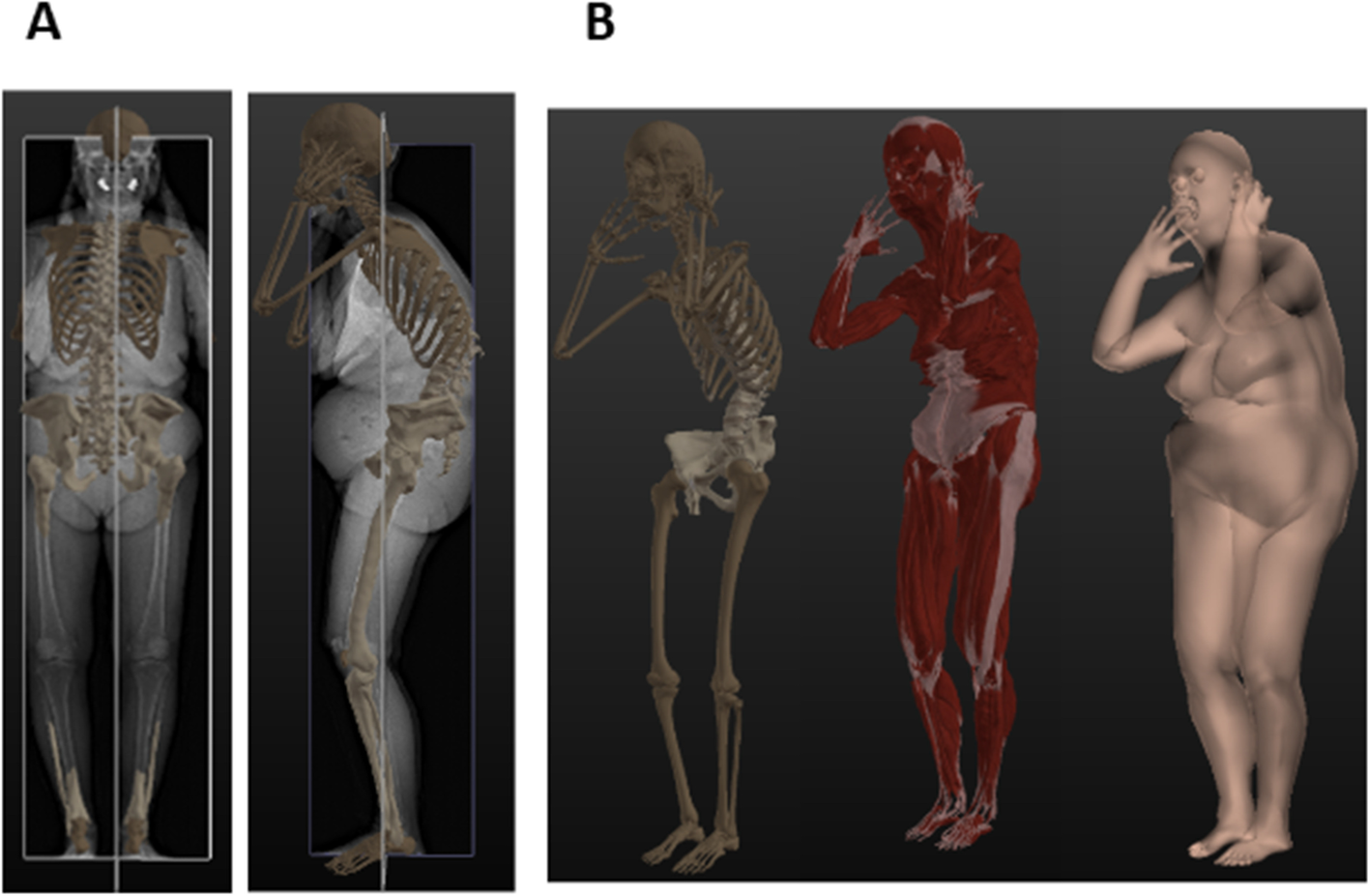 Fig. 3