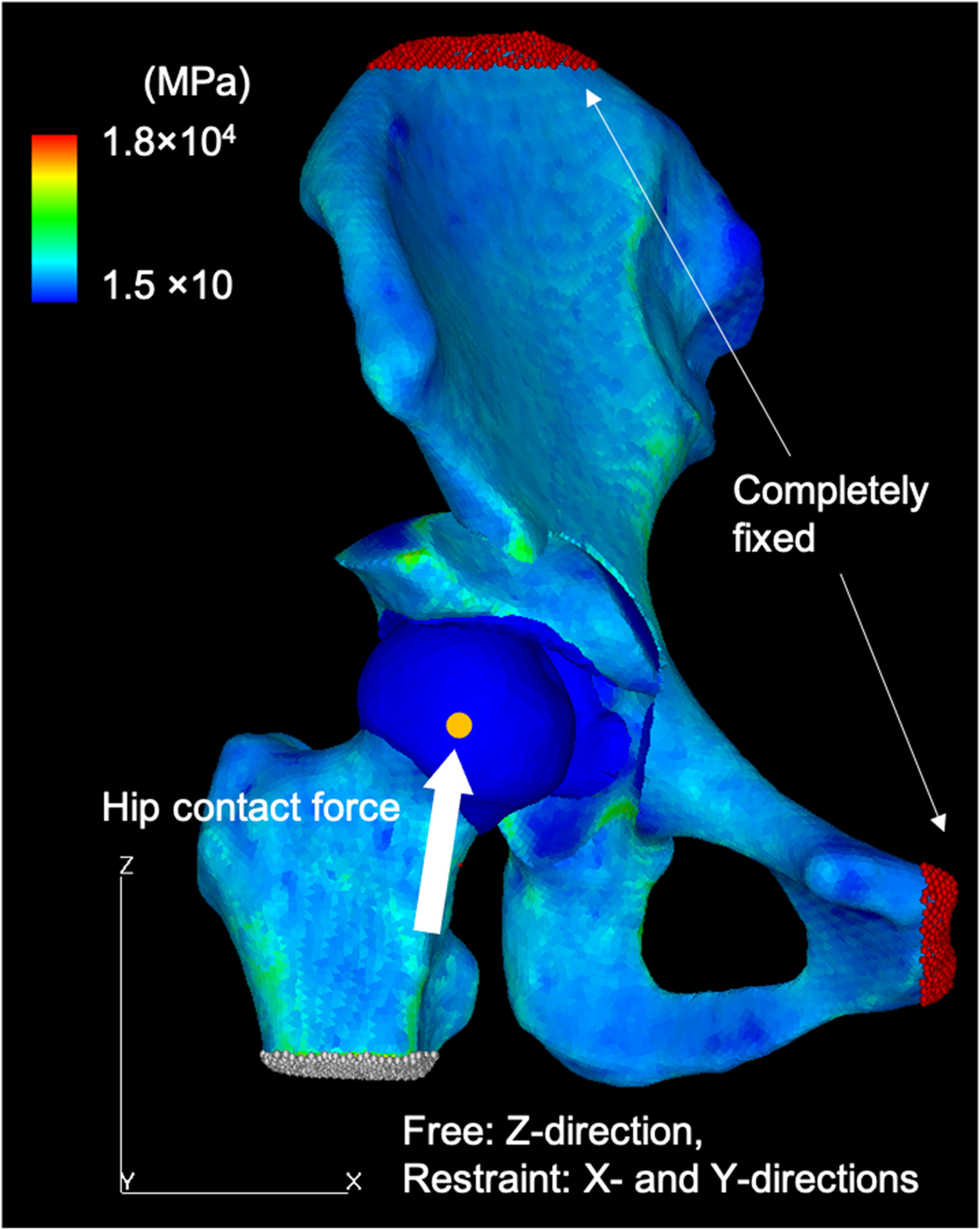 Fig. 2