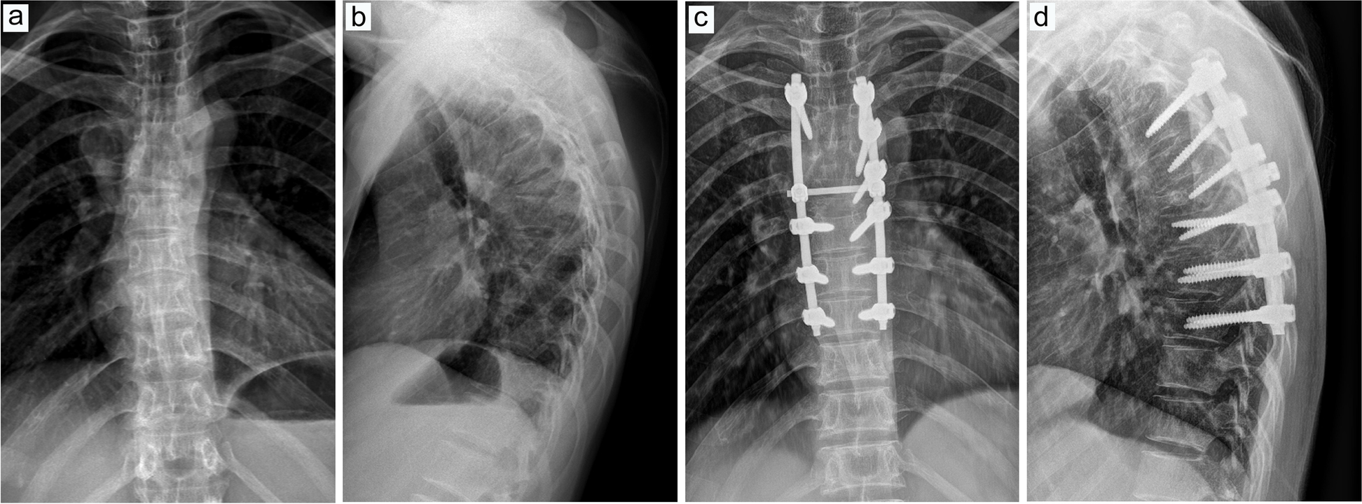 Fig. 10