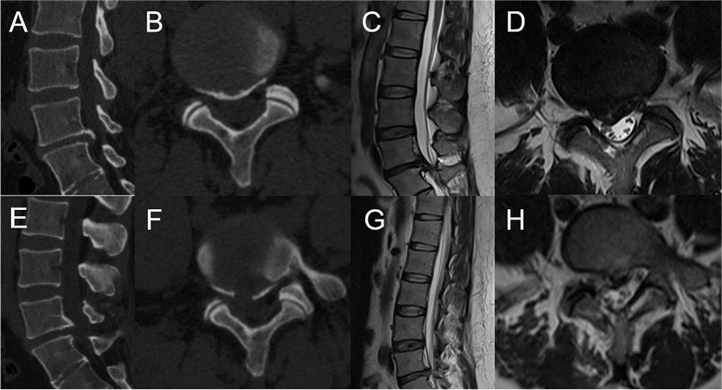 Fig.4