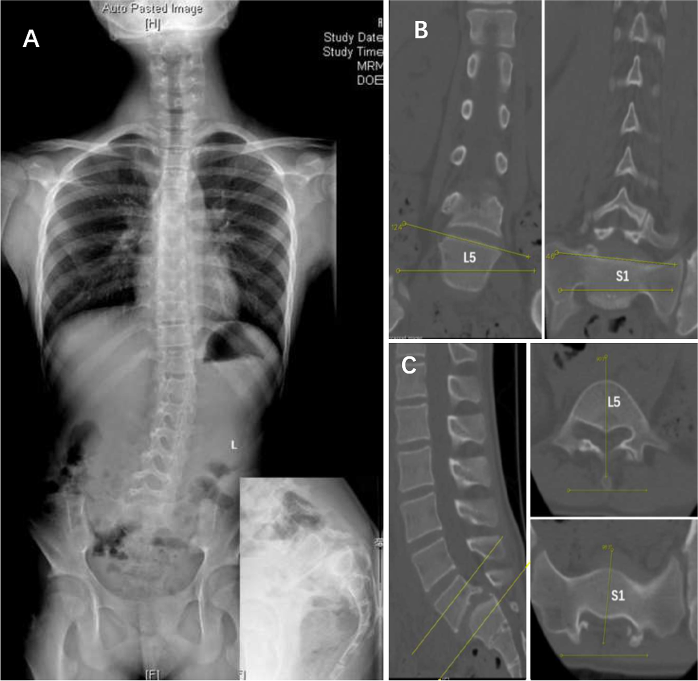 Fig. 4