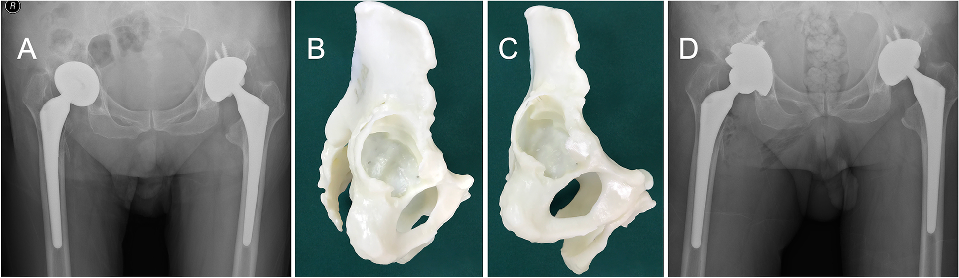 Fig. 5