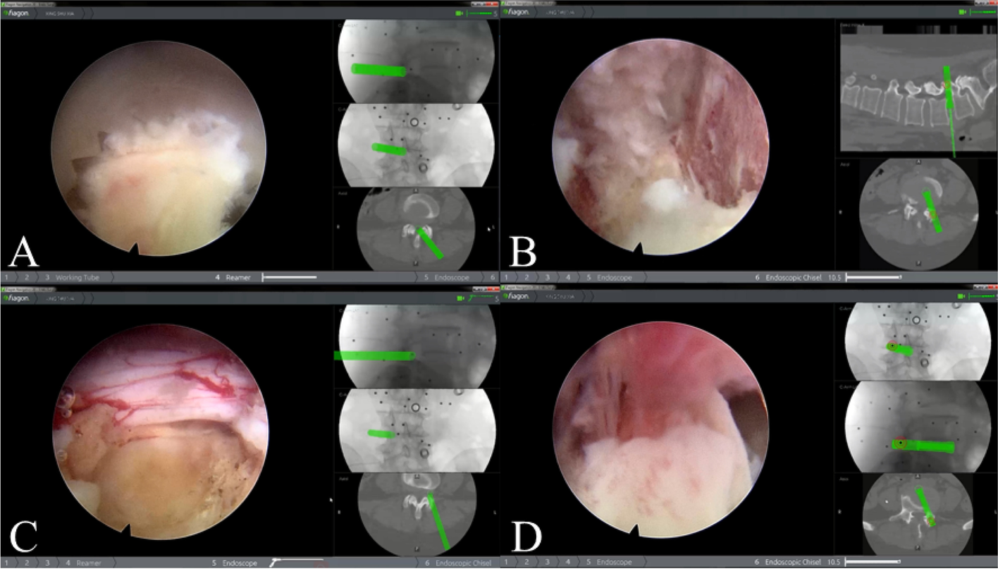 Fig. 6