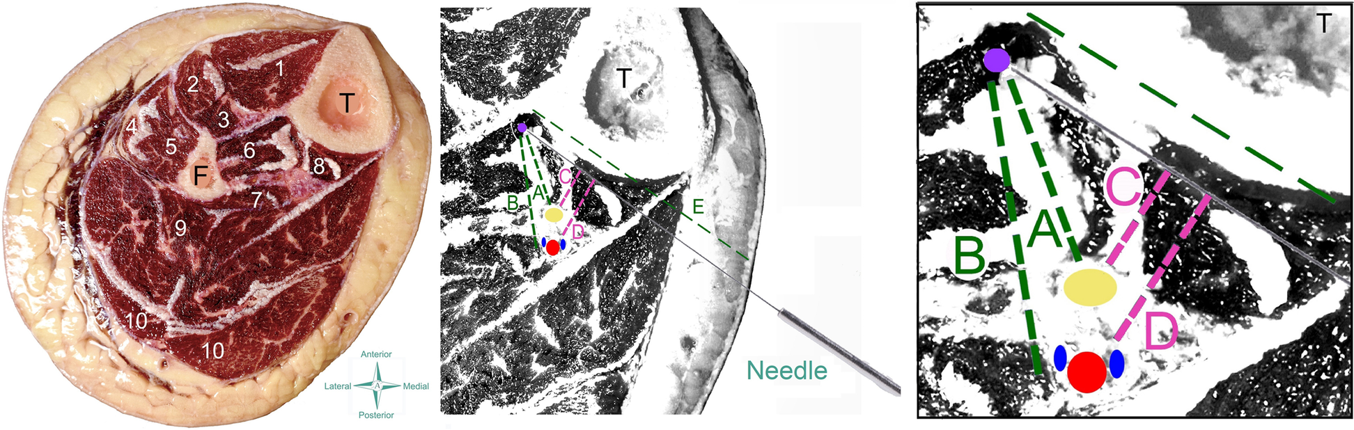 Fig. 4