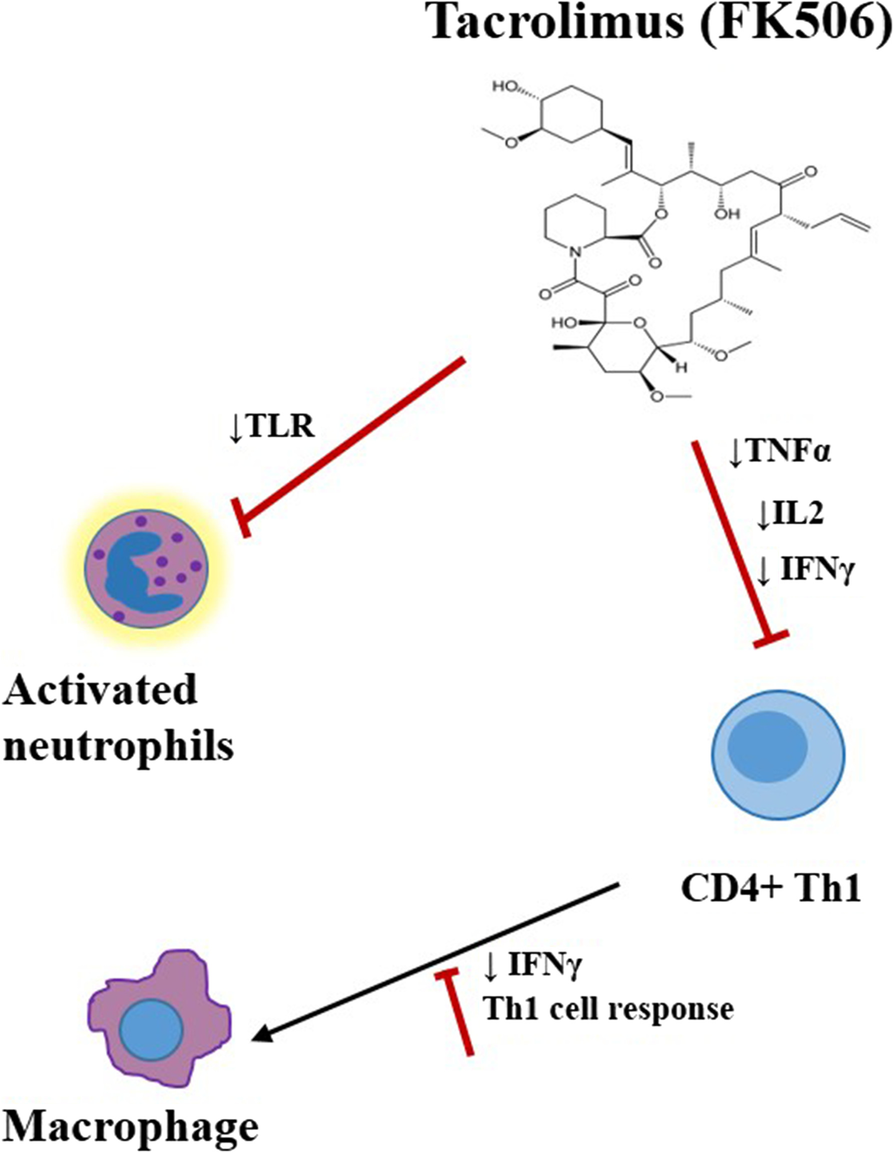 Fig. 2