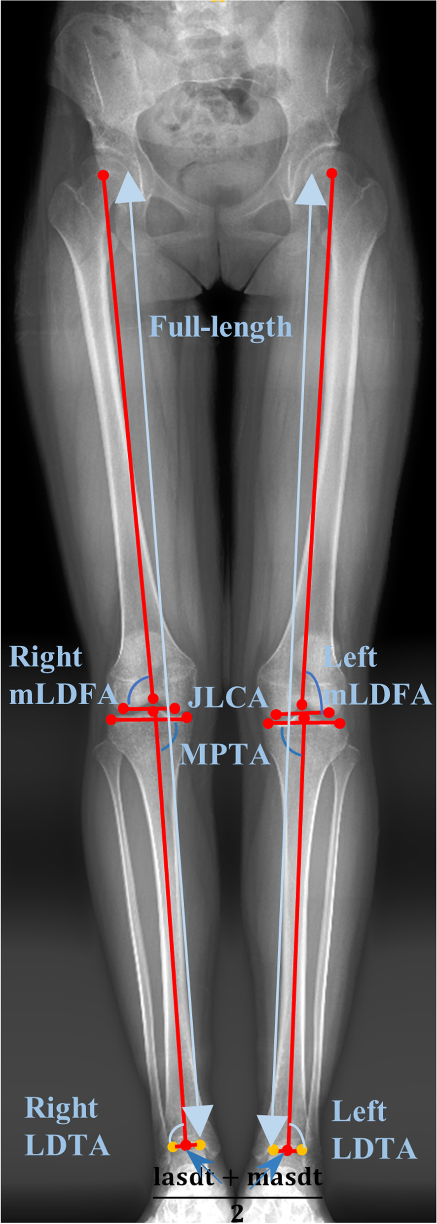 Fig. 3