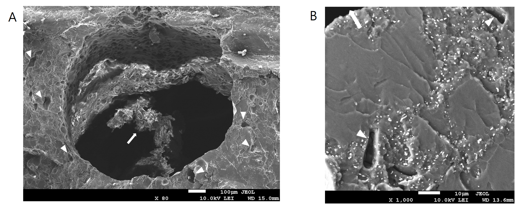 Fig. 8