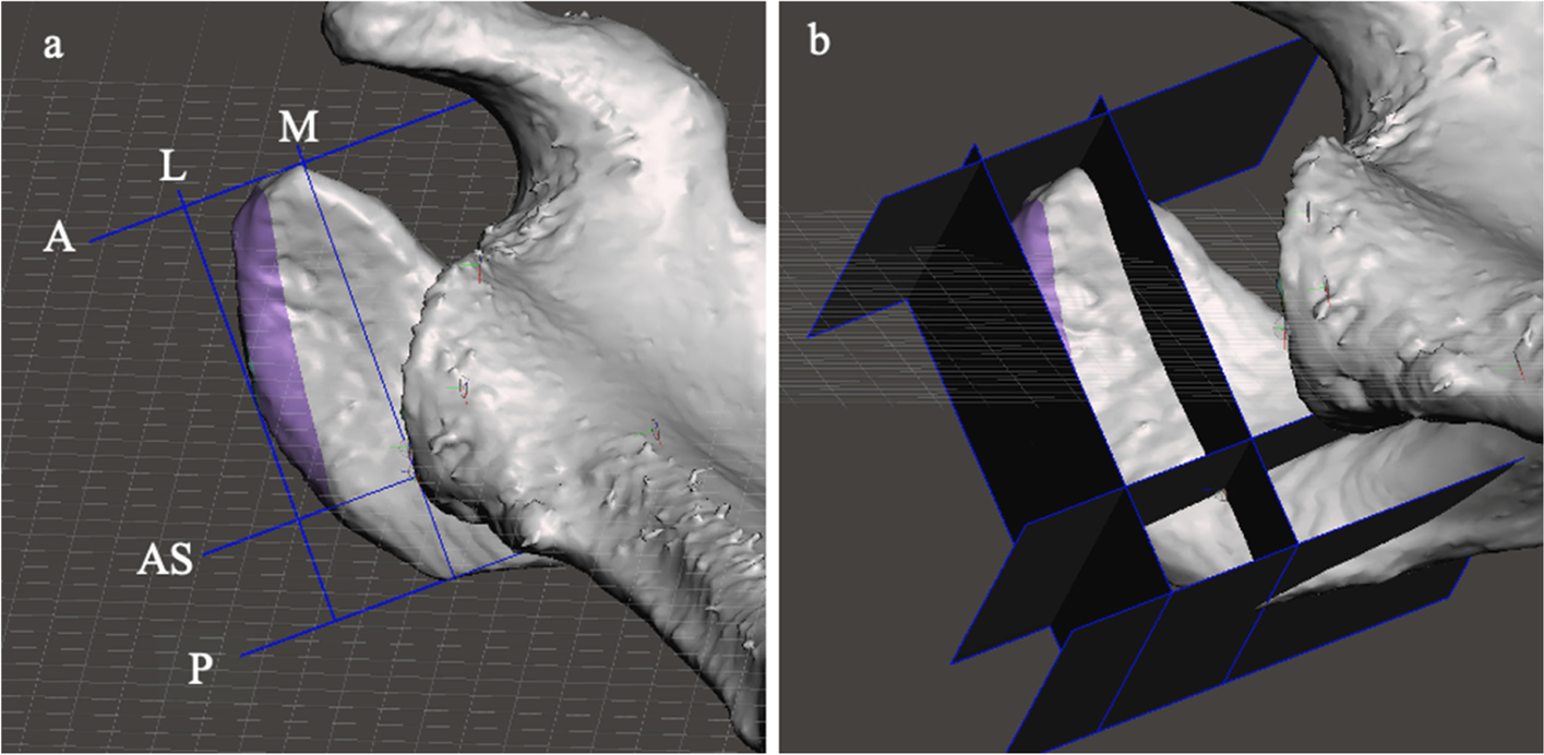 Fig. 10