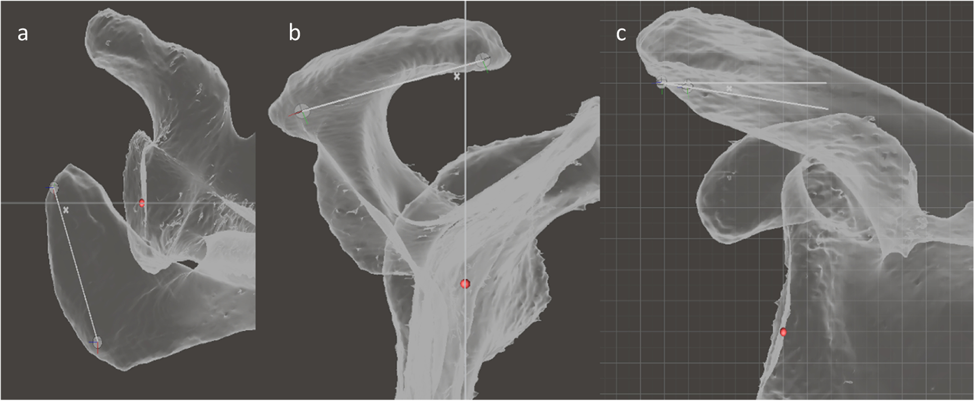 Fig. 12