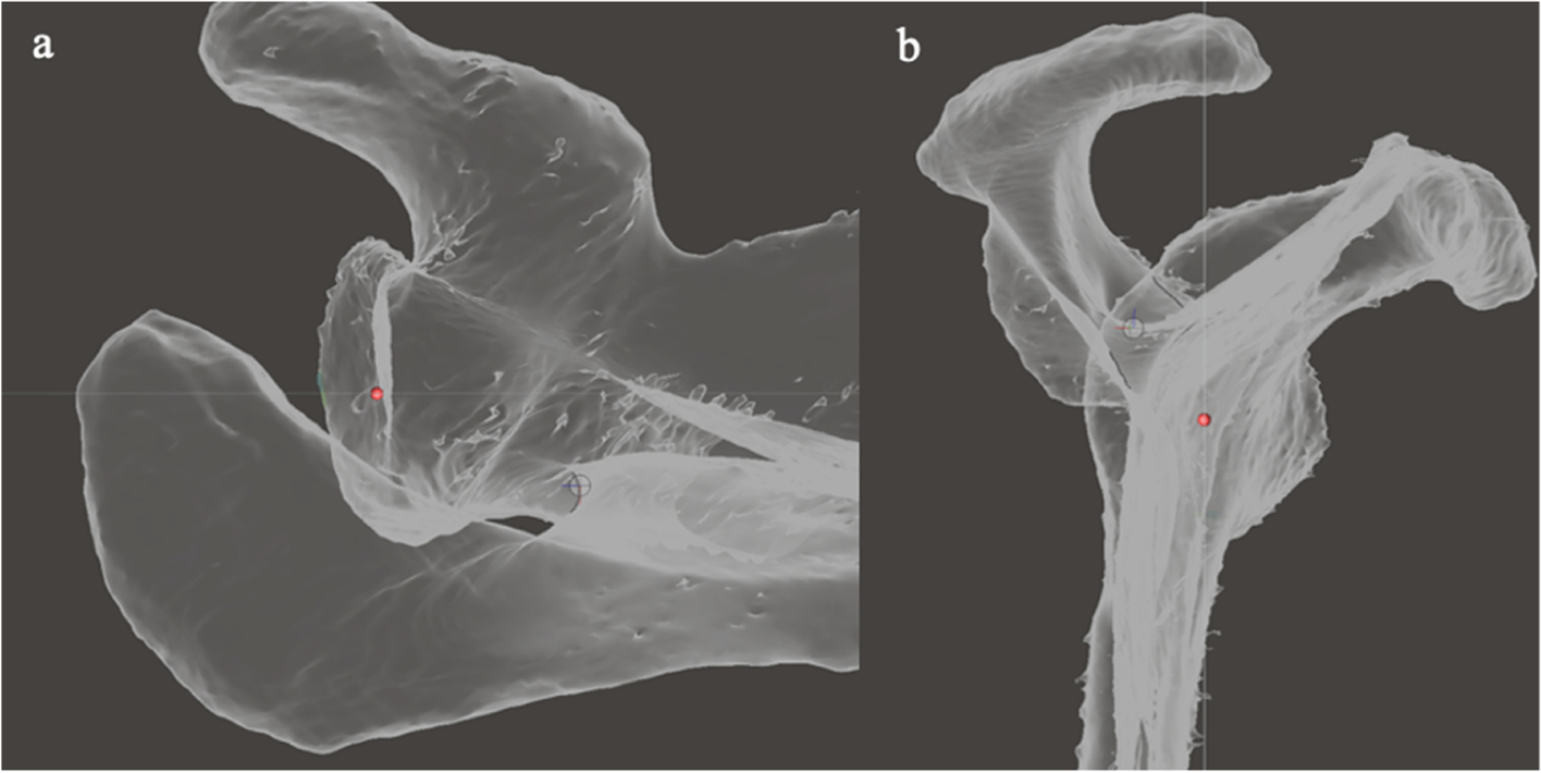 Fig. 8