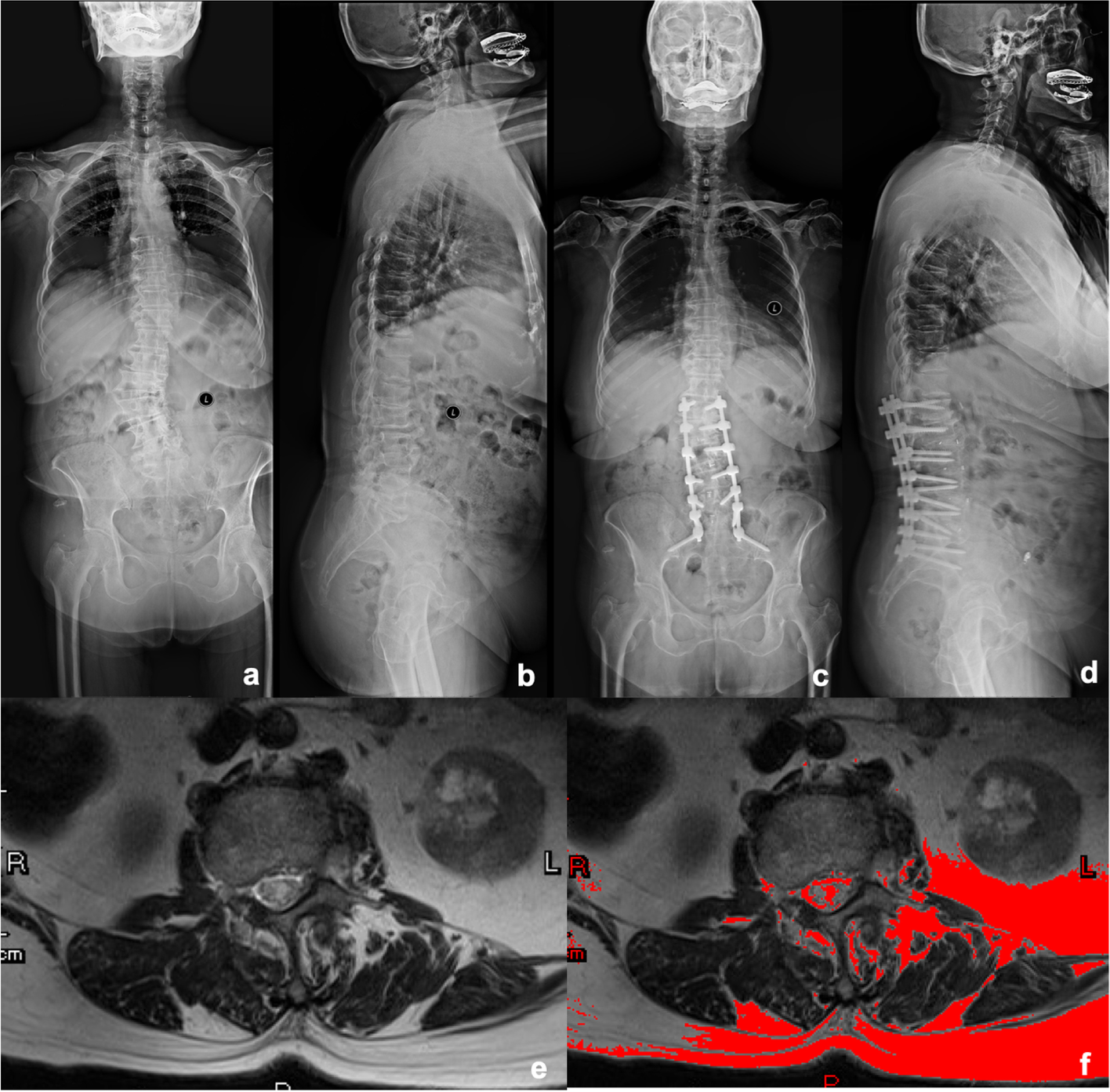 Fig. 6