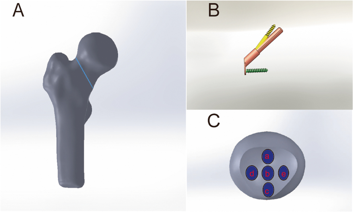 Fig. 1