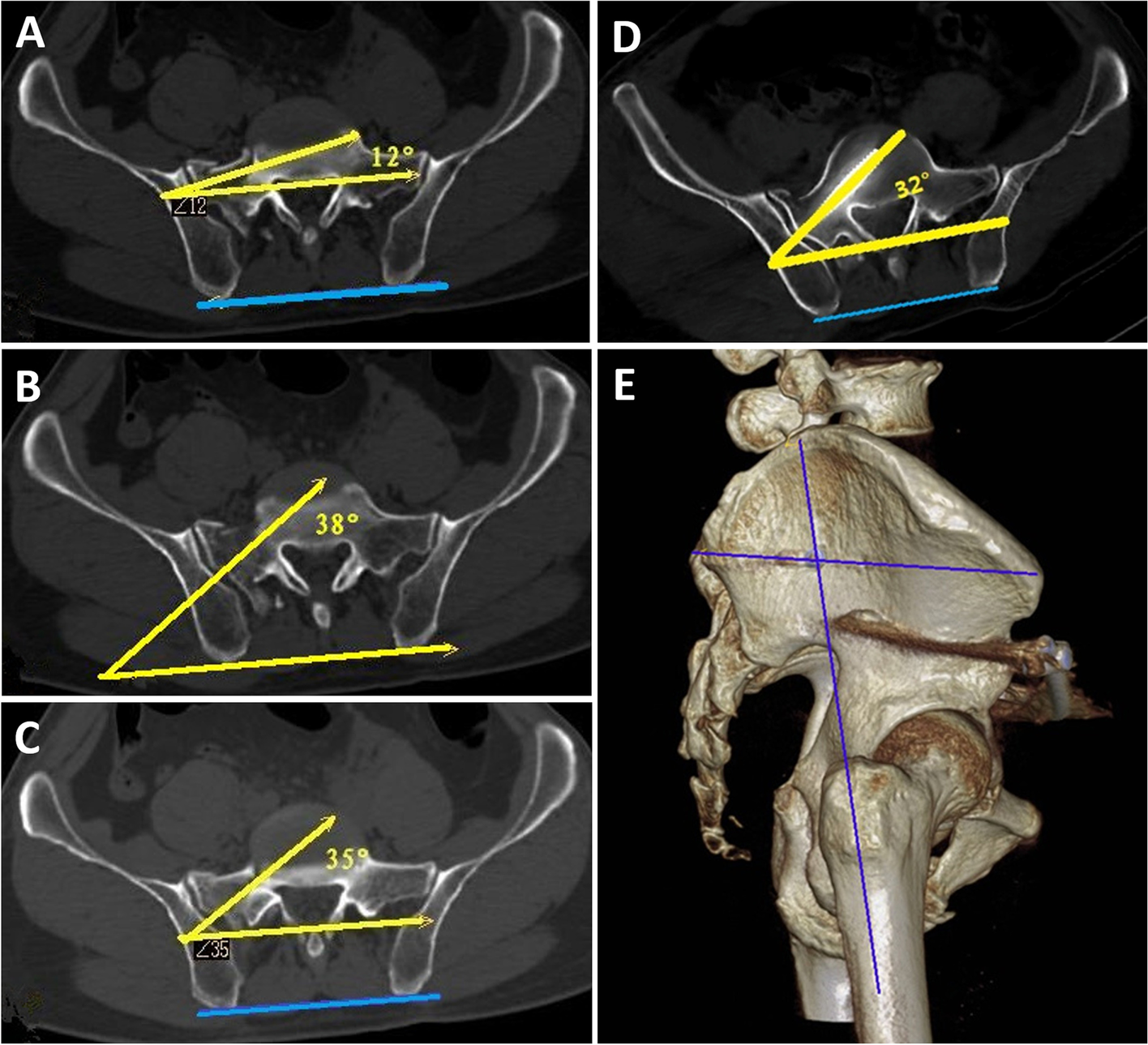 Fig. 6