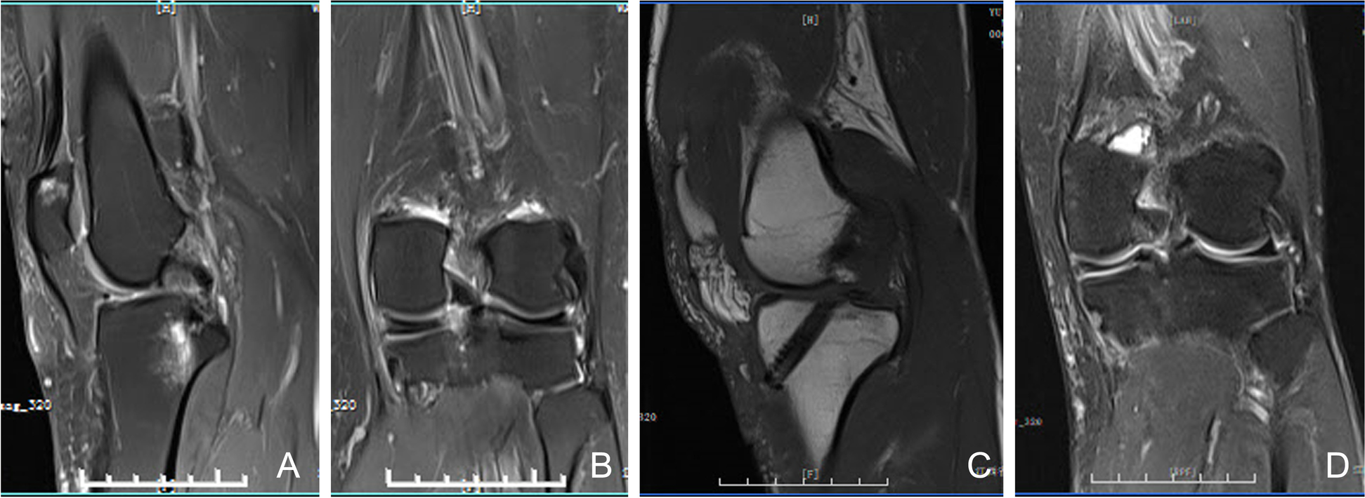 Fig. 8