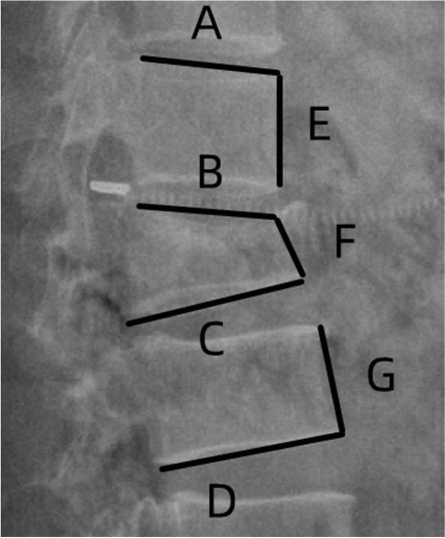 Fig. 5