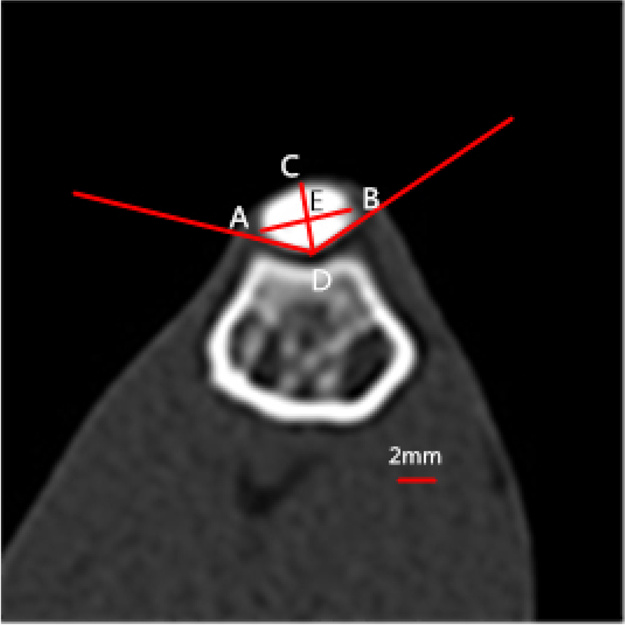 Fig. 2