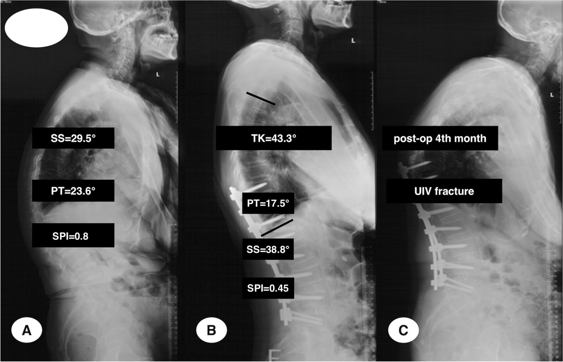 Fig. 6