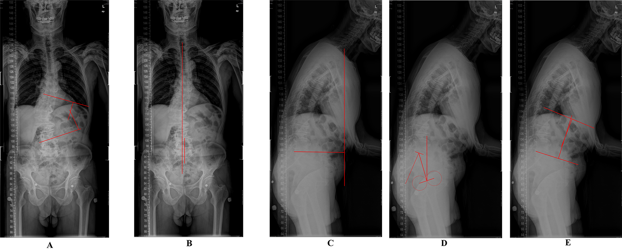 Fig. 3