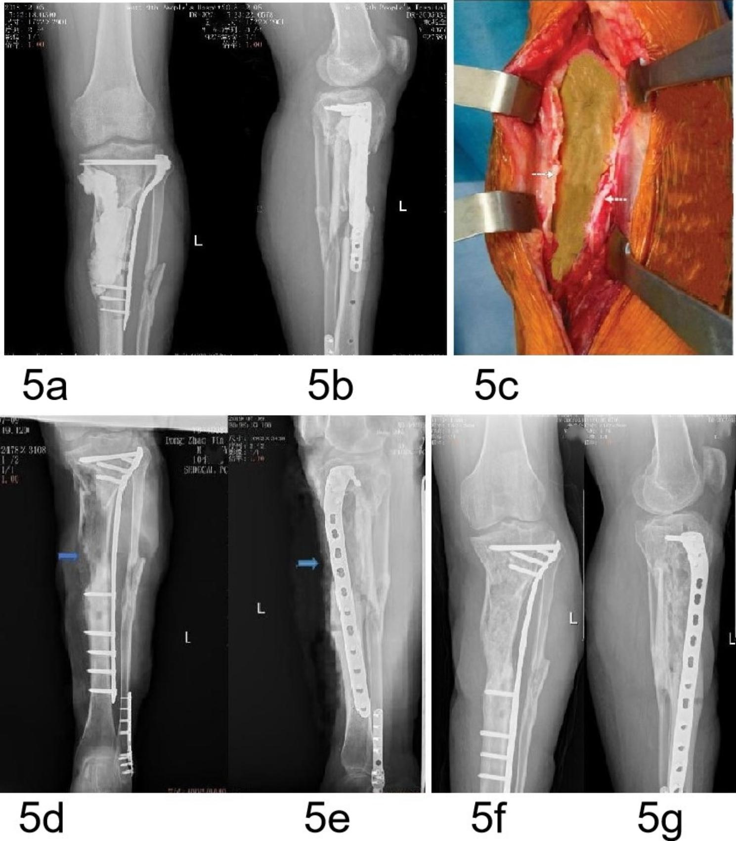 Fig. 5