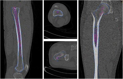 Fig. 6