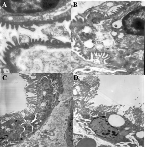 Fig. 5