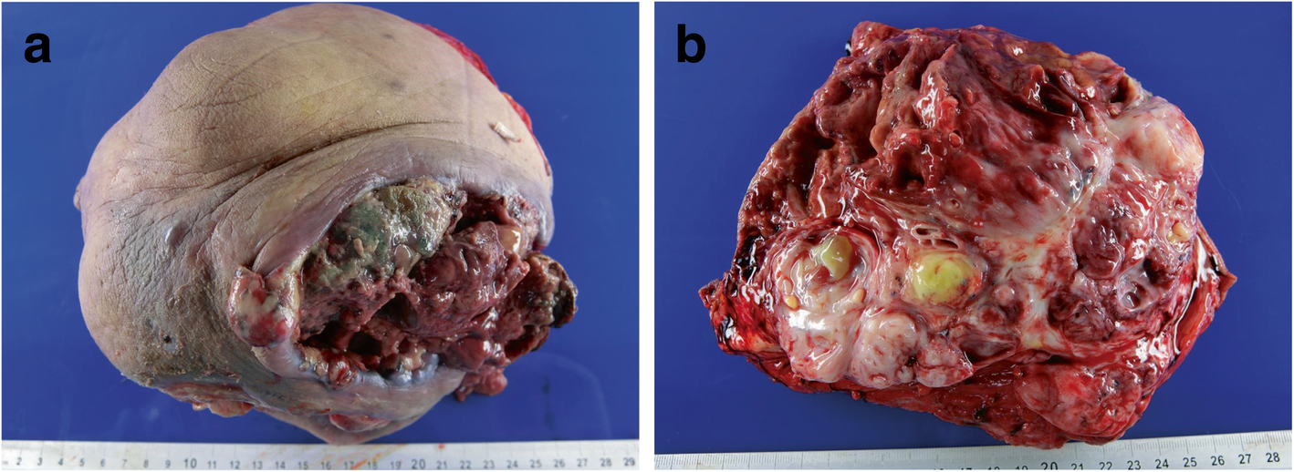 Fig. 5