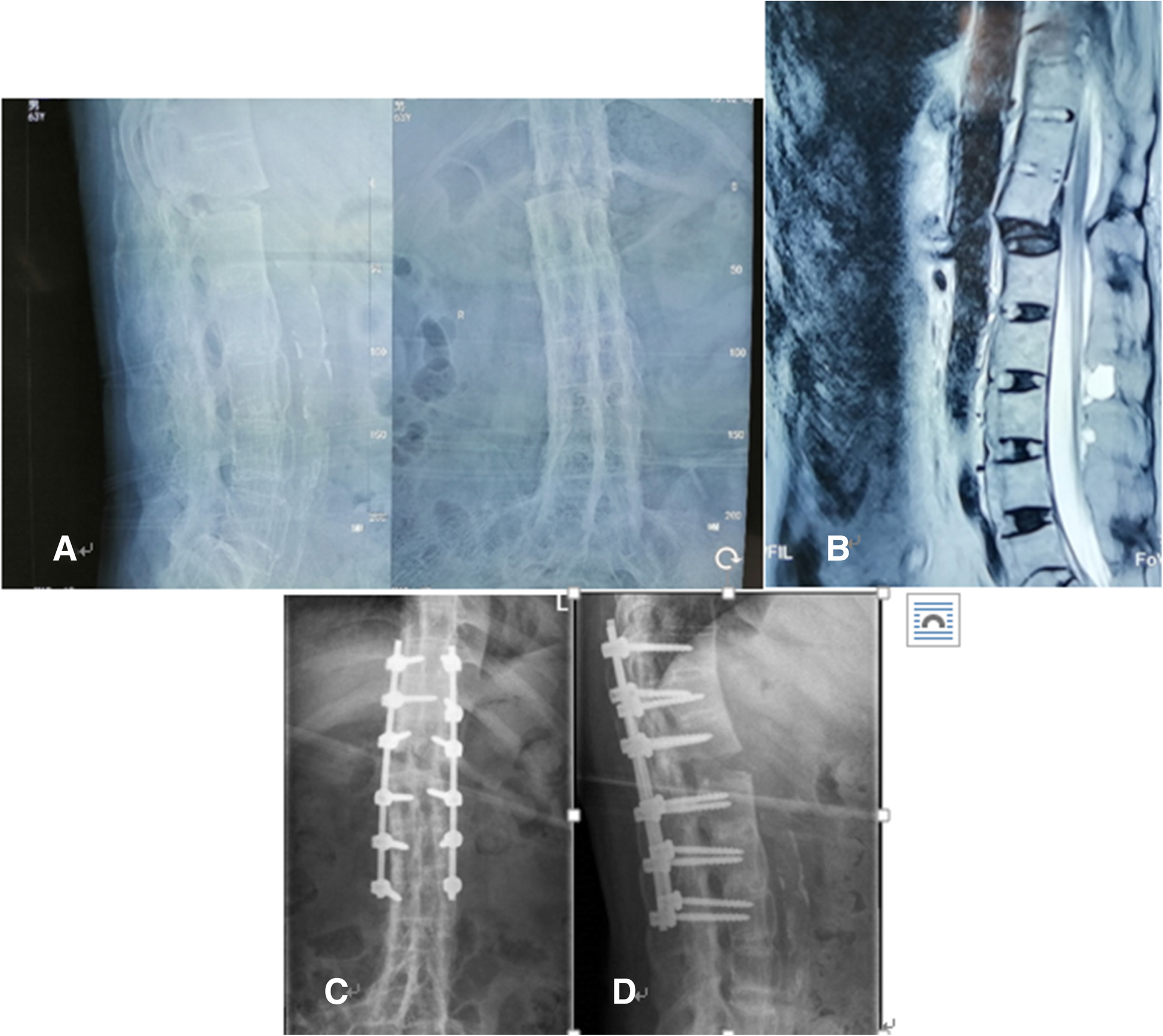 Fig. 1