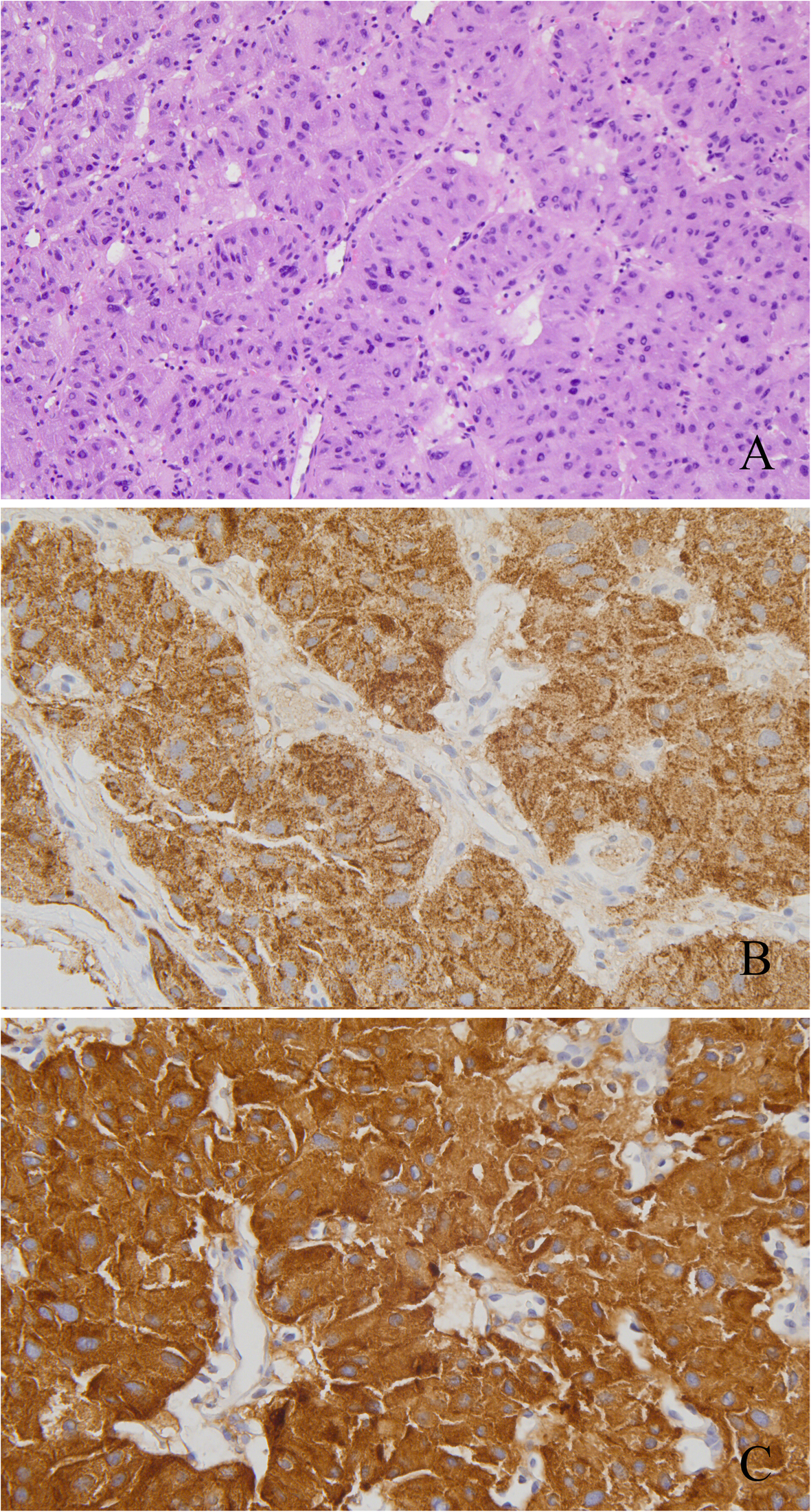 Fig. 8