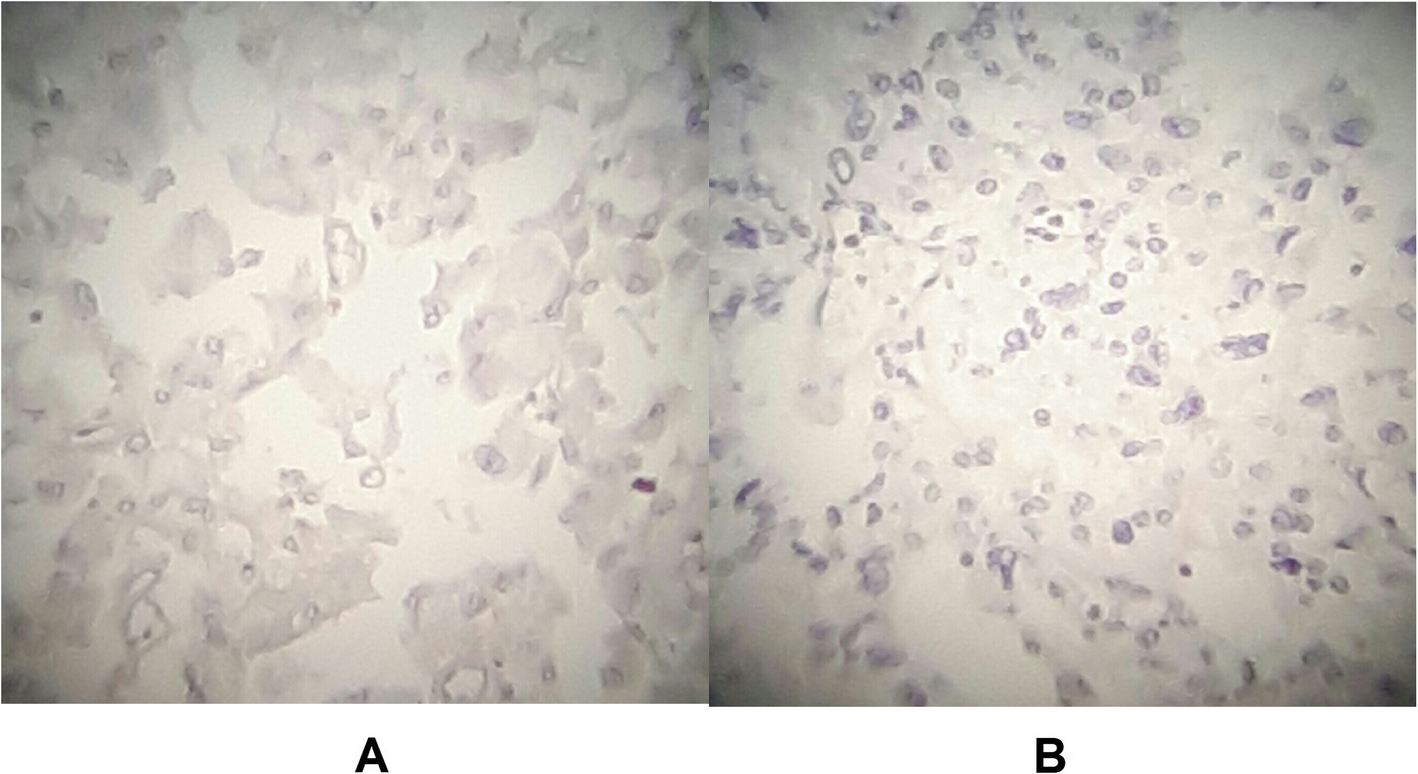 Fig. 11