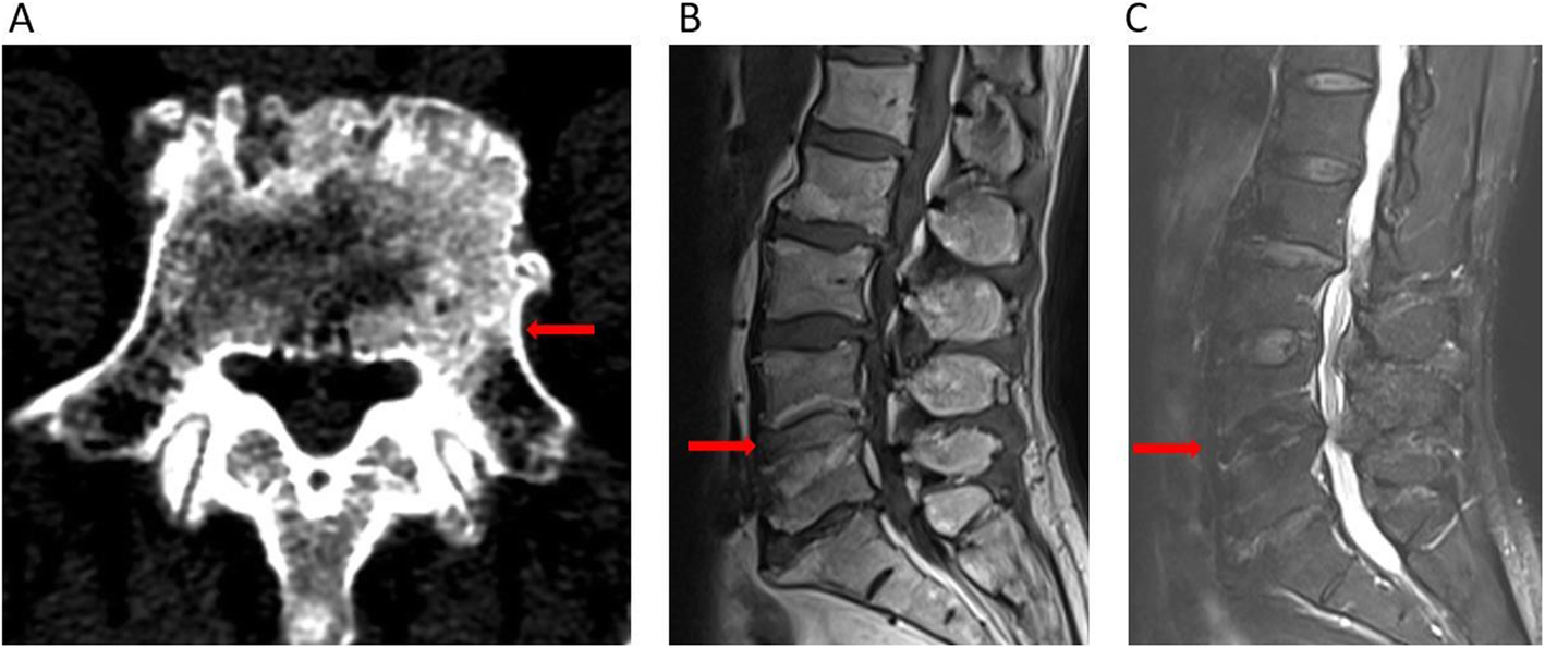 Fig. 5