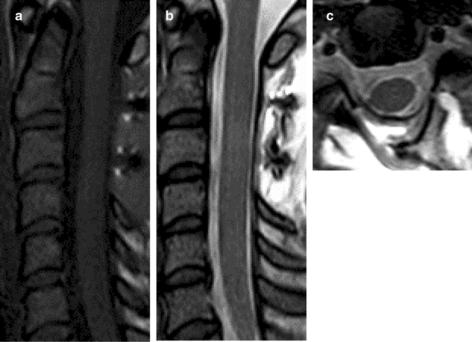 Fig. 5