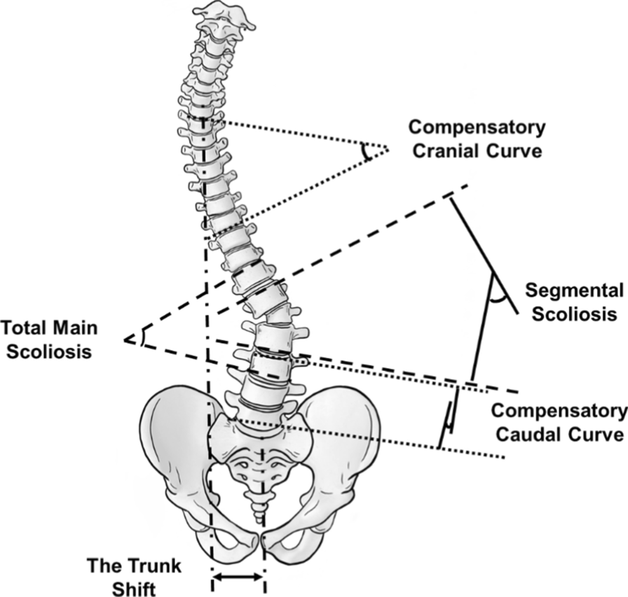 Fig. 2