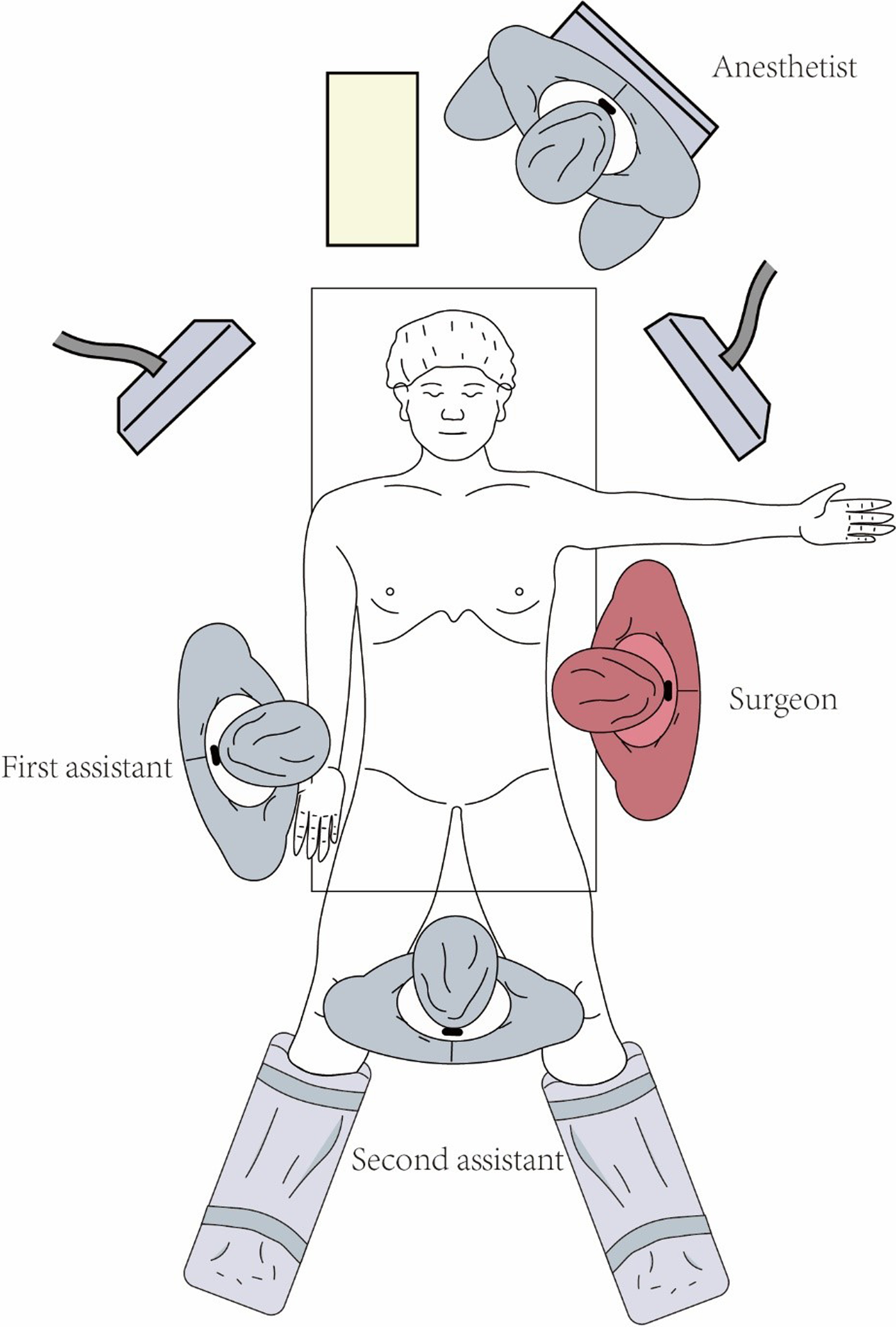 Fig. 1