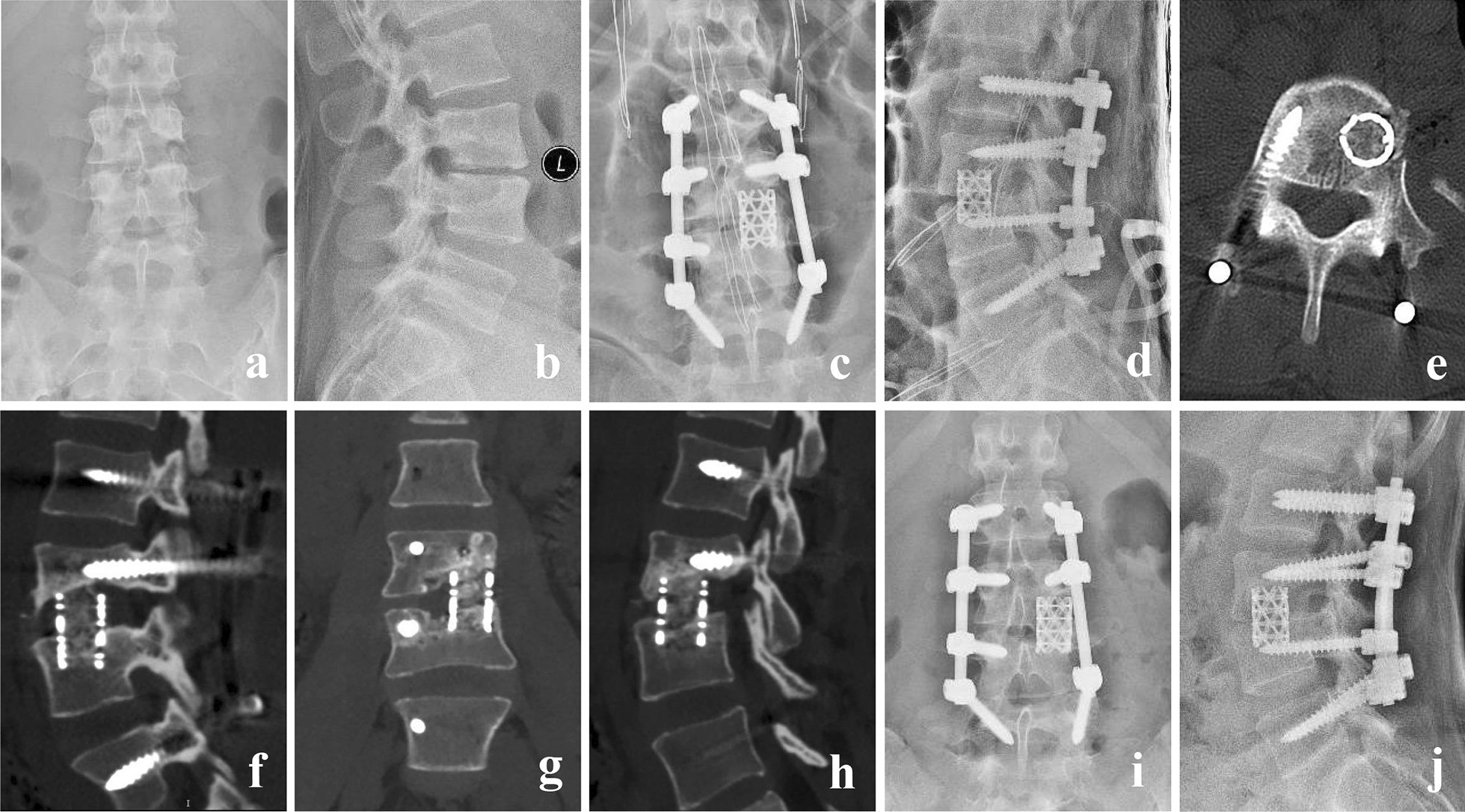 Fig. 4