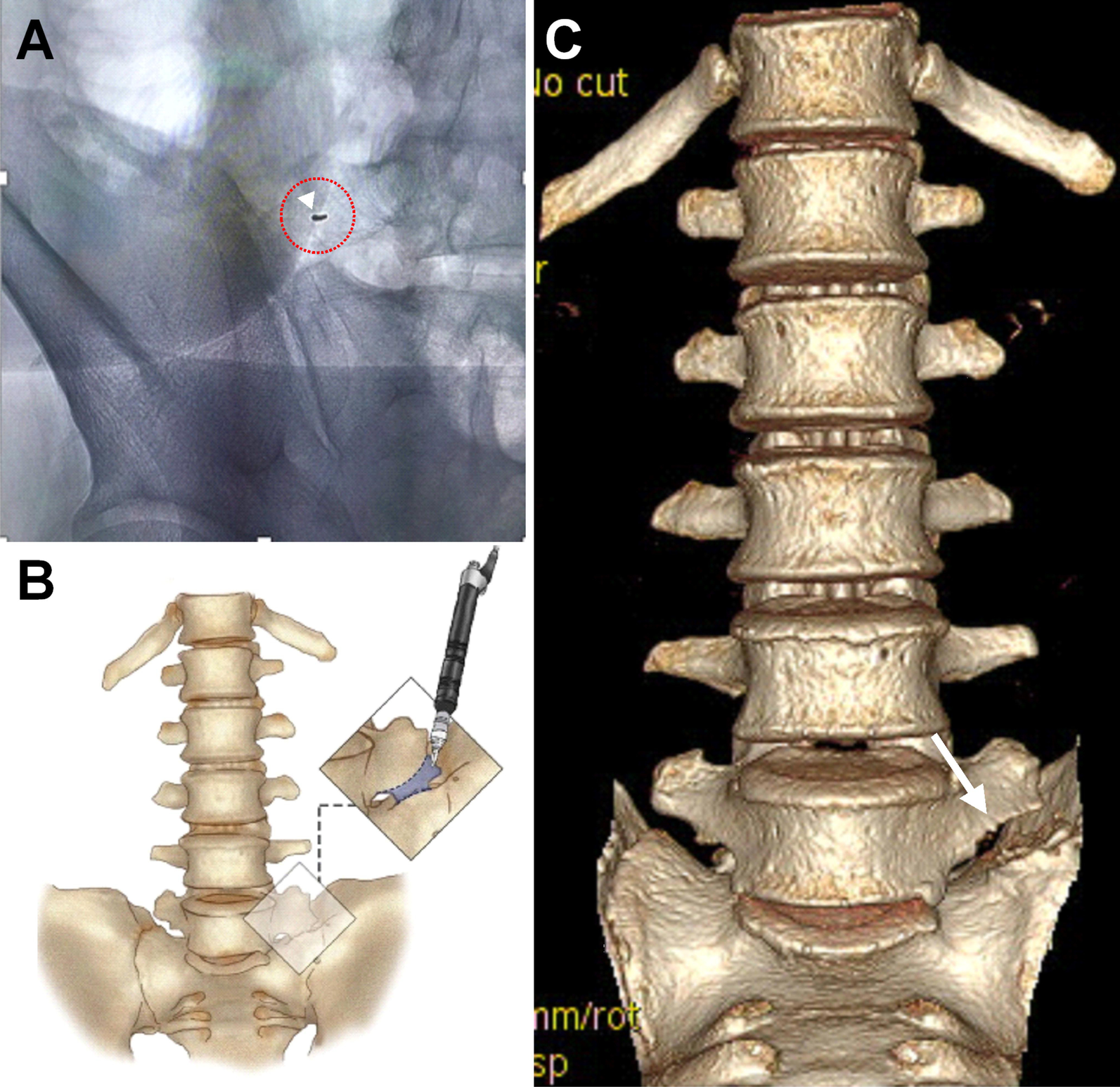 Fig. 2